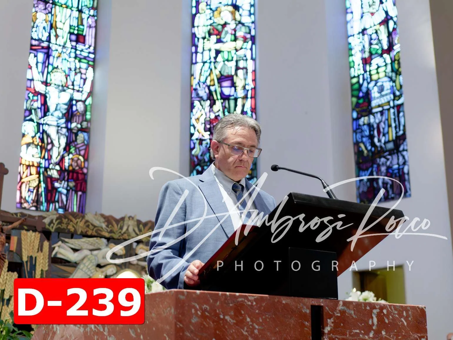 D-239.jpg