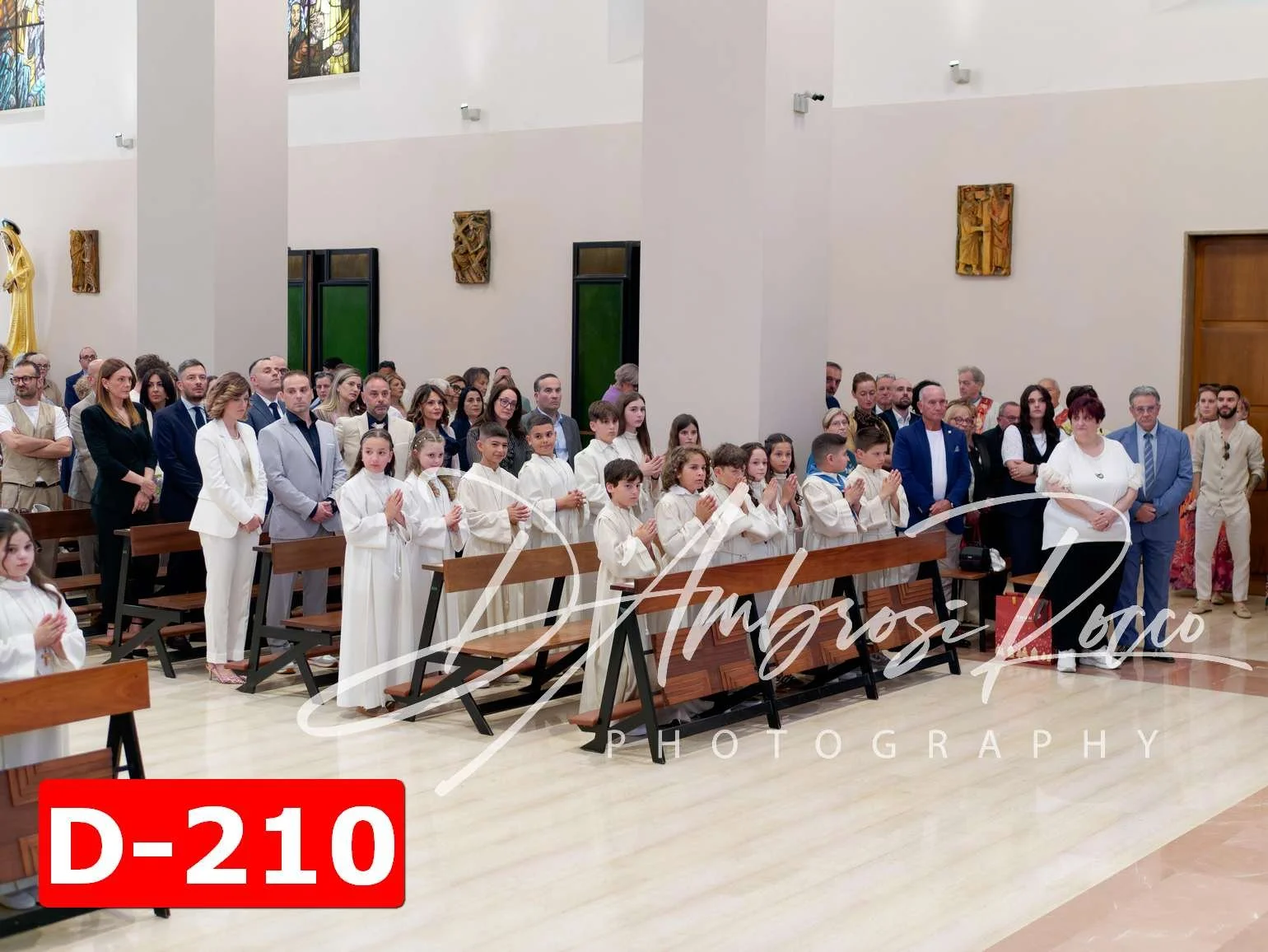 D-210.jpg