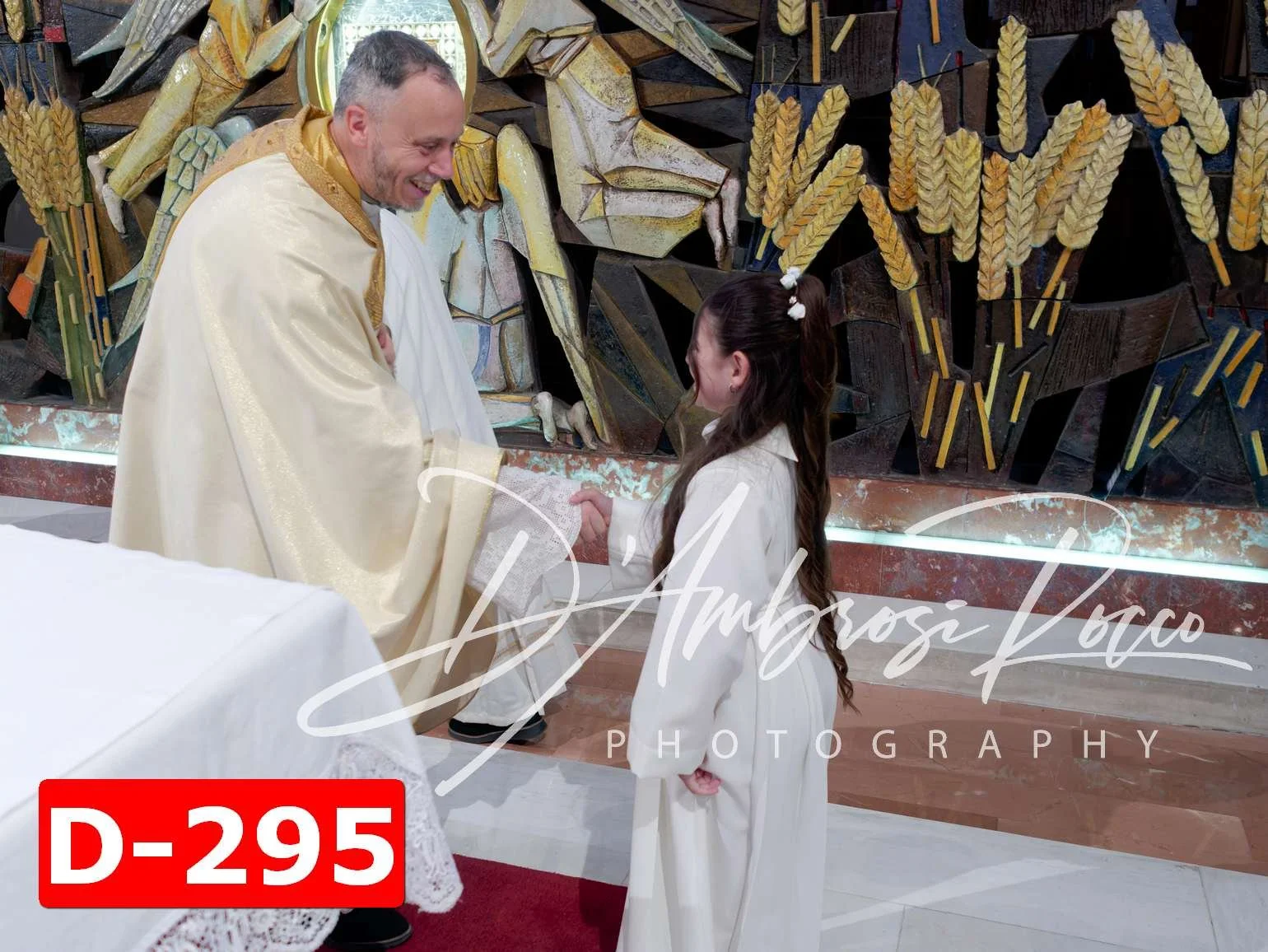 D-295.jpg