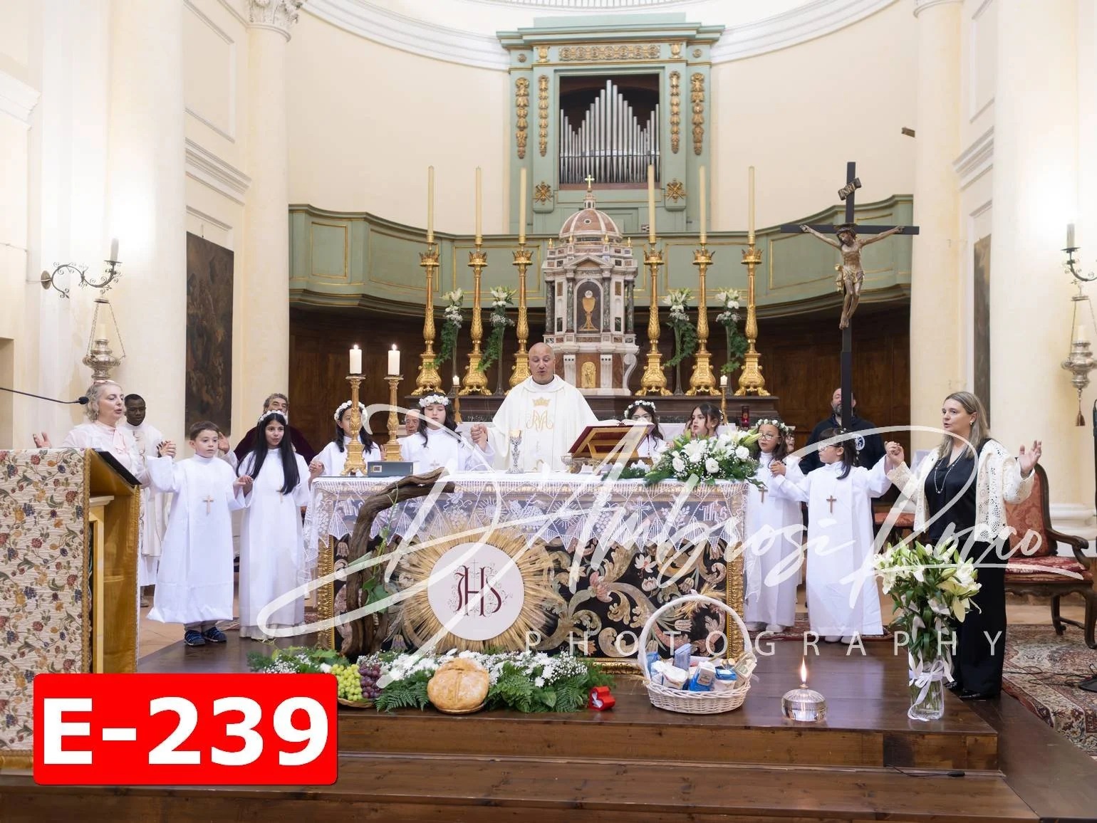 E-239.jpg