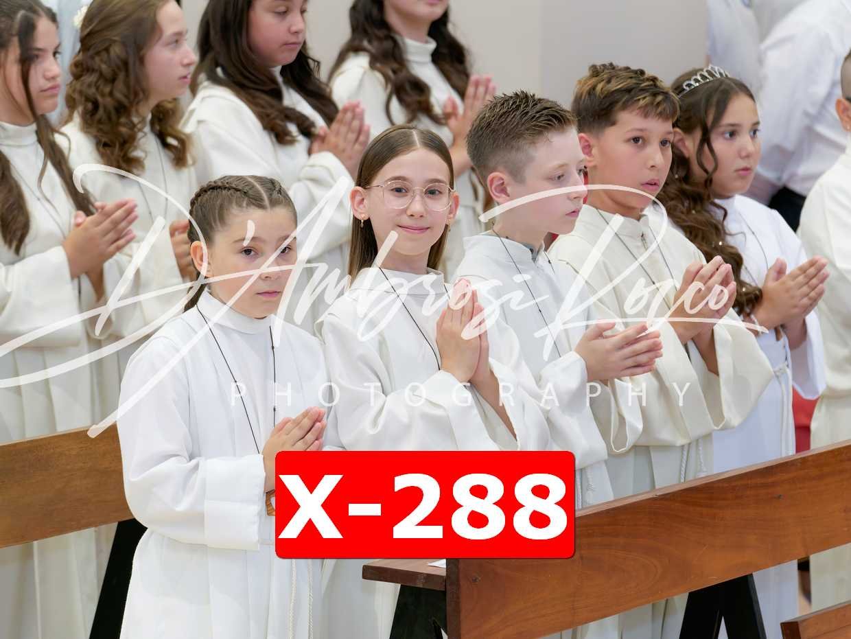 X-288.jpg