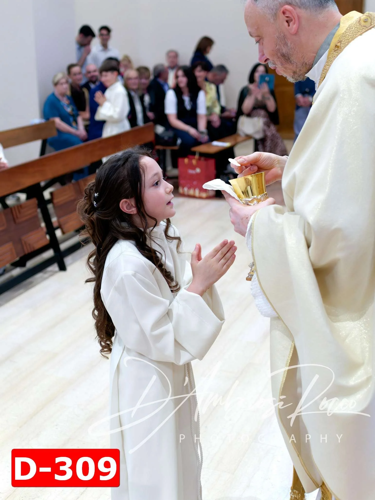 D-309.jpg