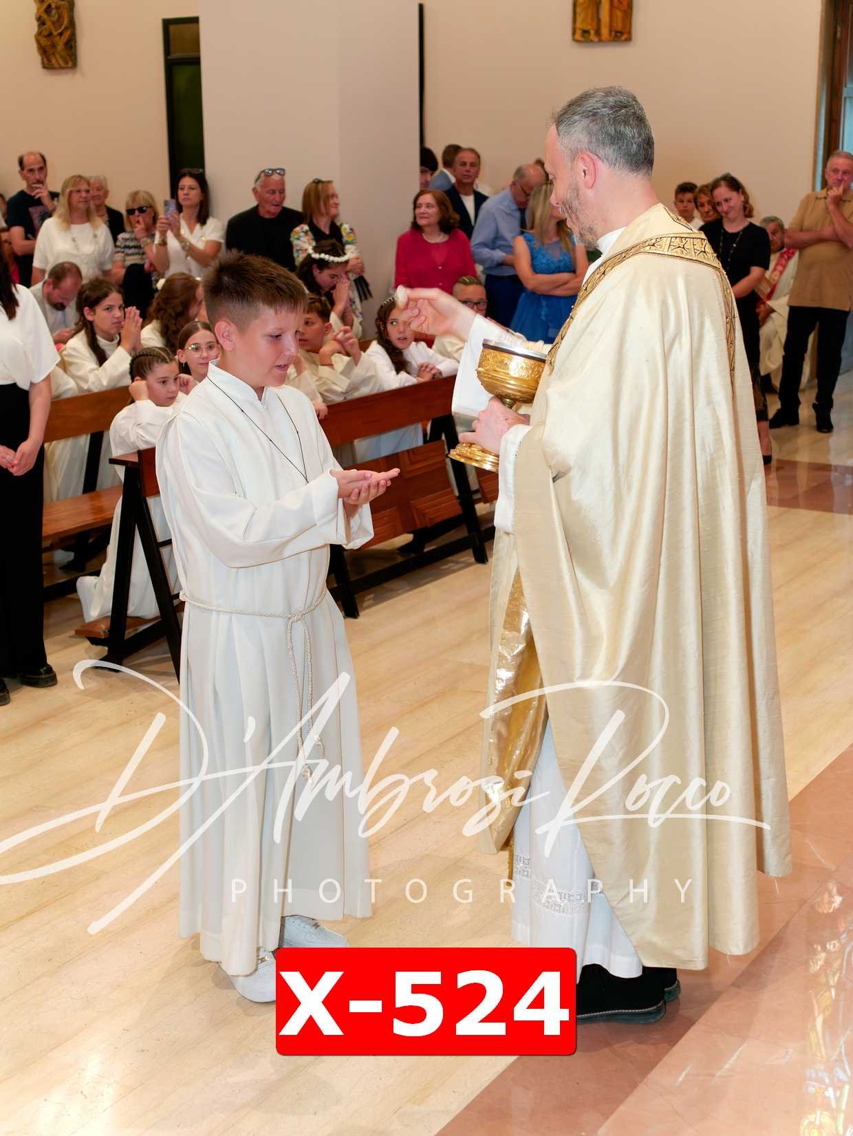 X-524.jpg