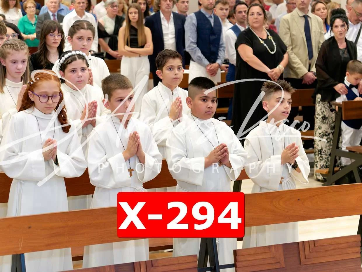 X-294.jpg