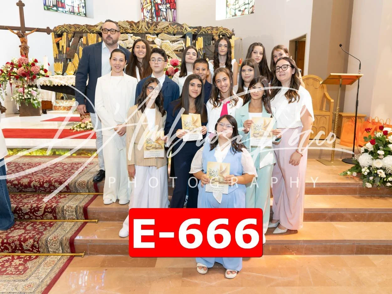 E-666.jpg