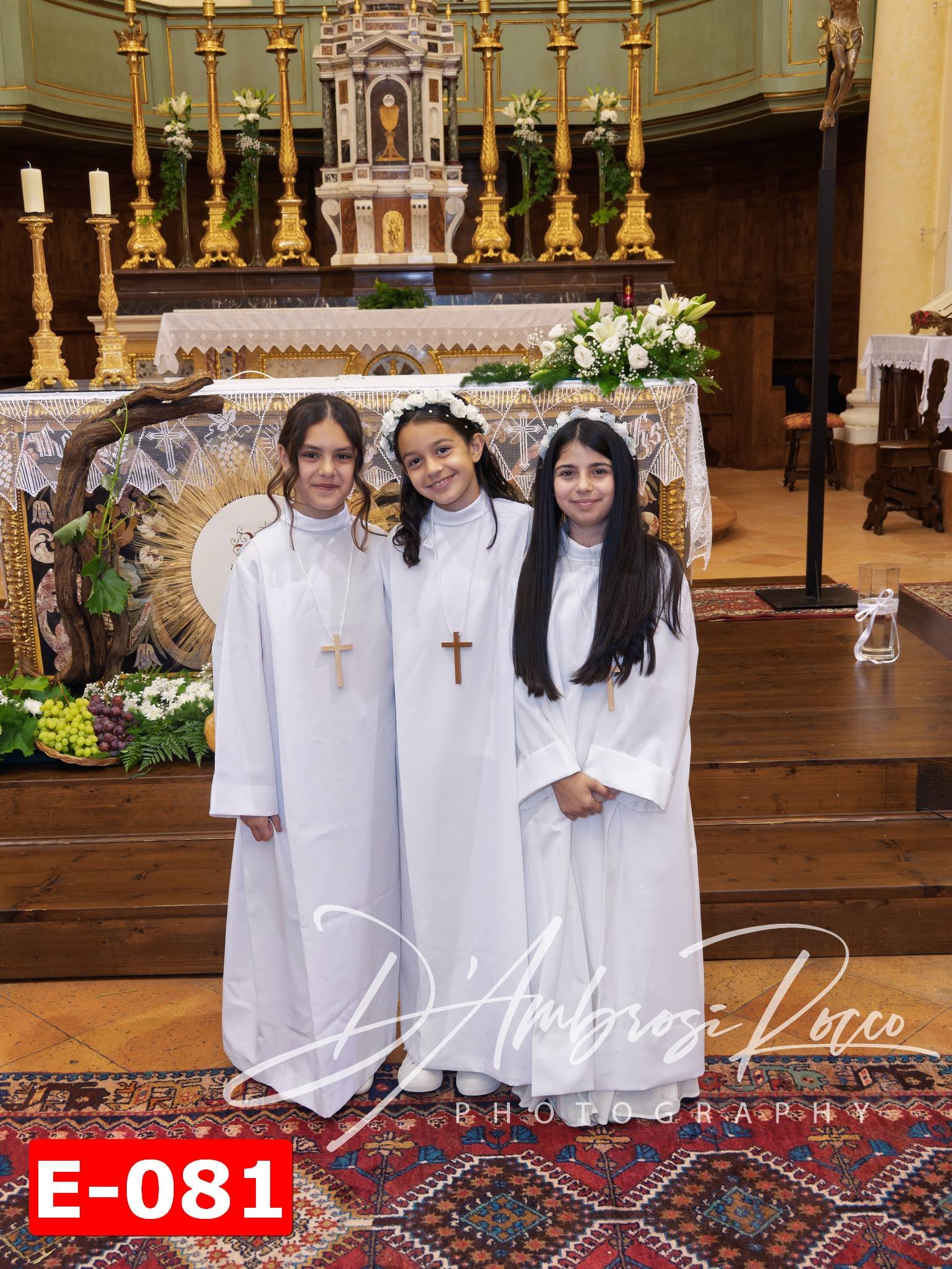 E-081.jpg