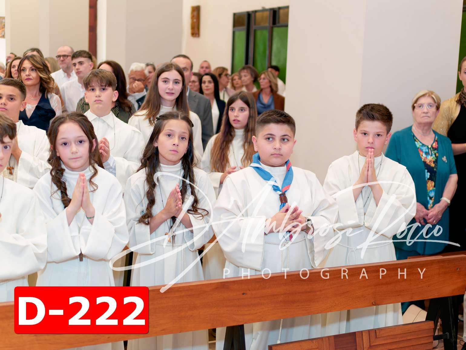 D-222.jpg