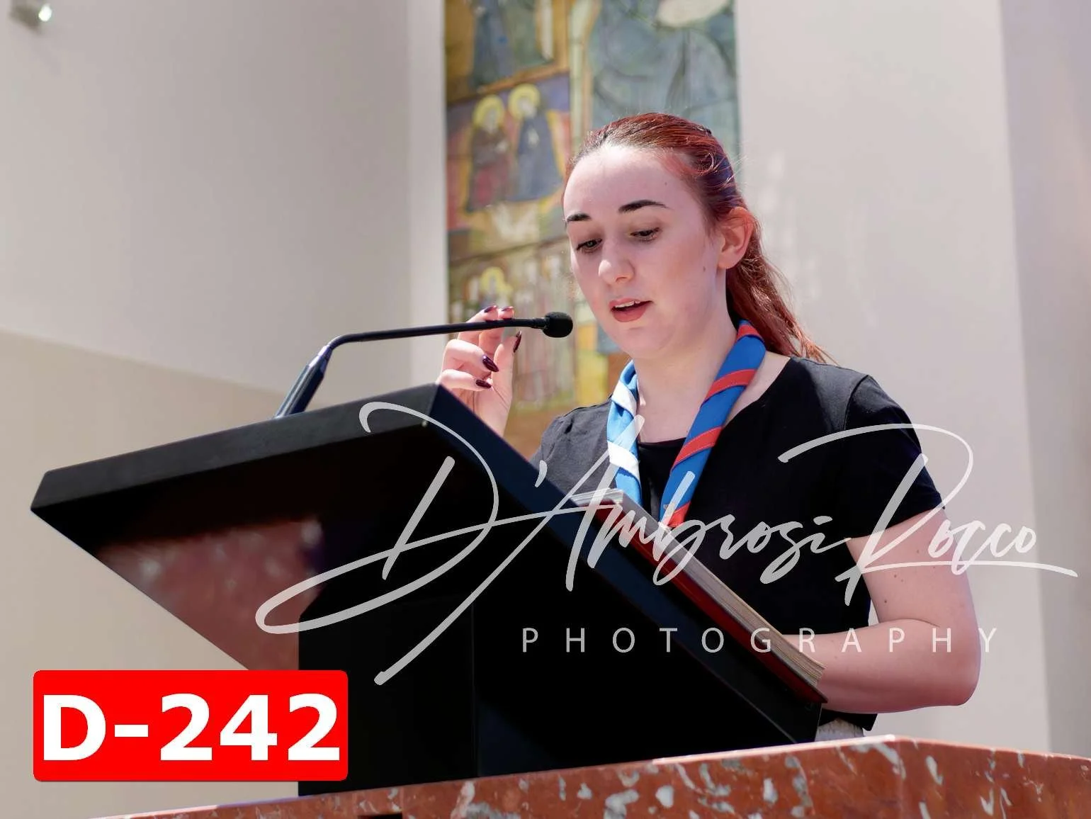 D-242.jpg