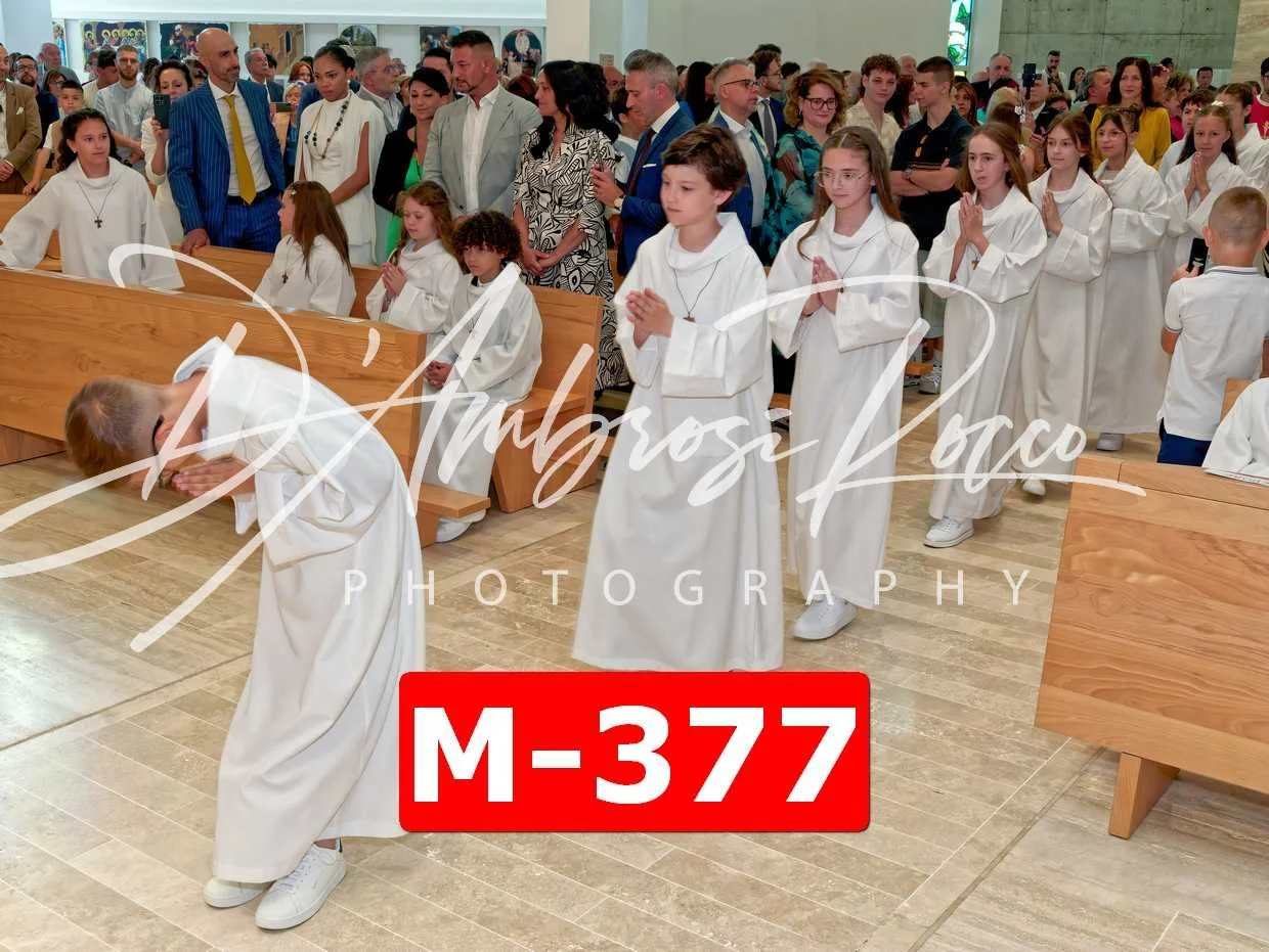 M-377.jpg