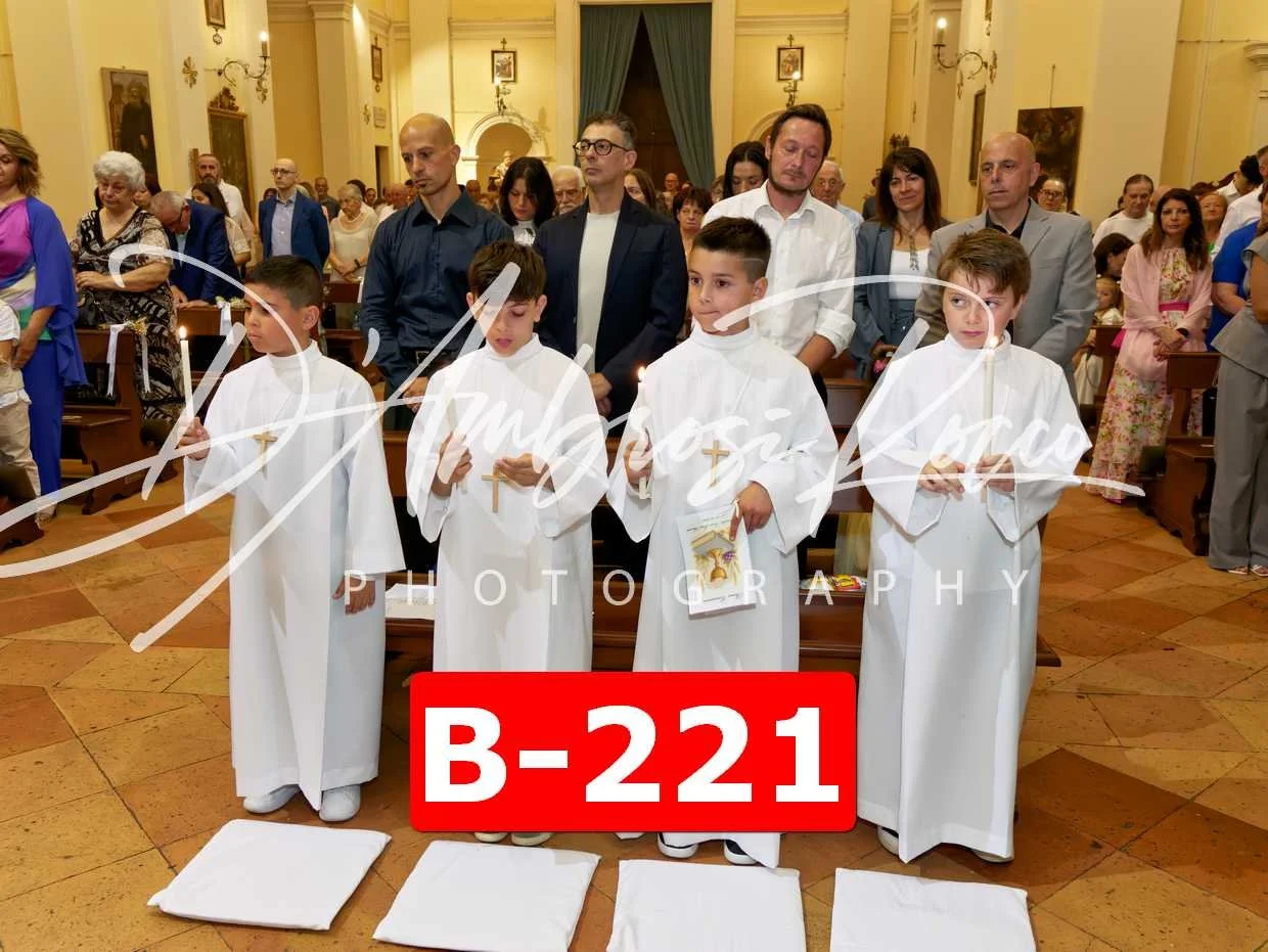 B-221.jpg