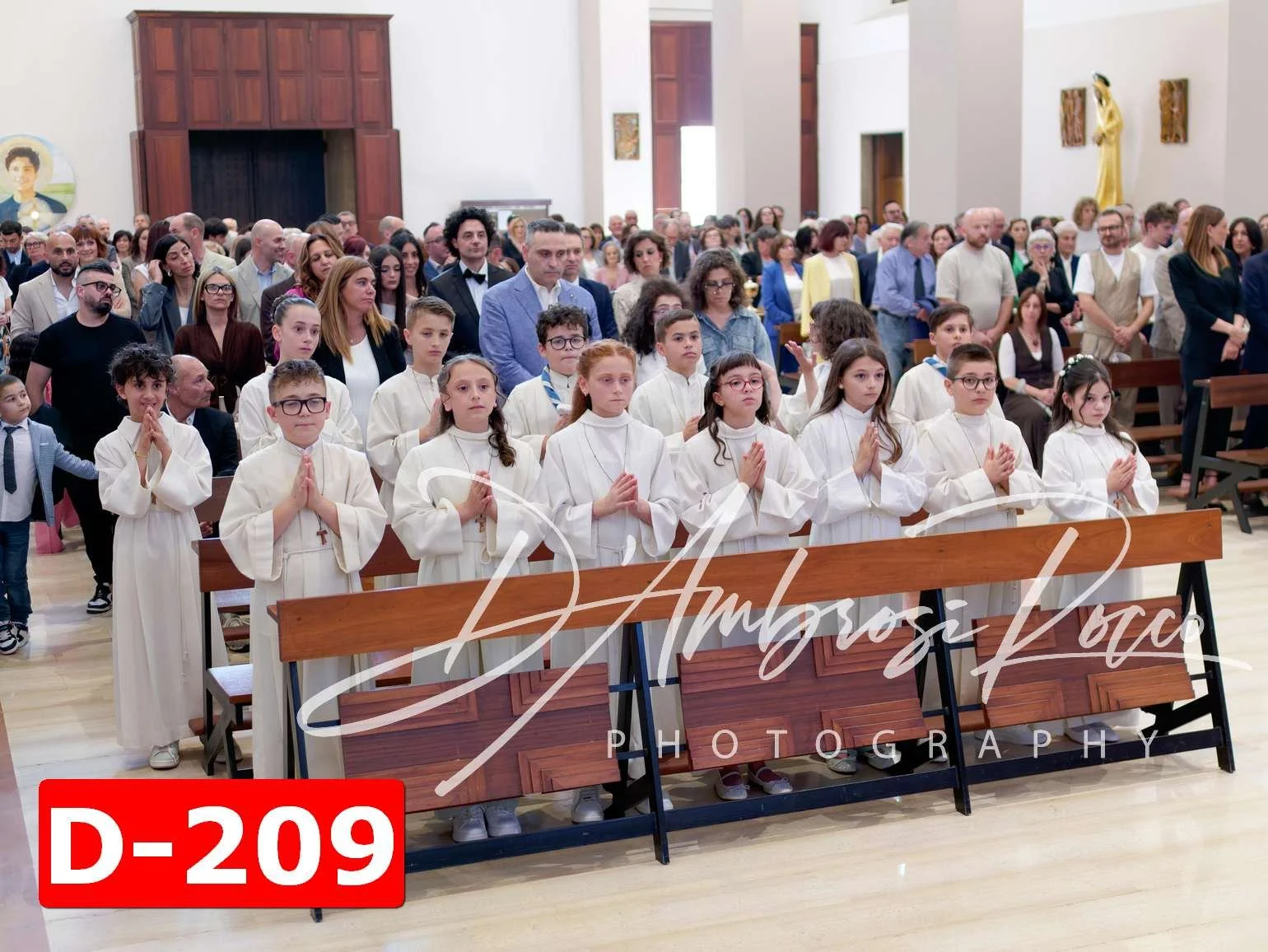 D-209.jpg