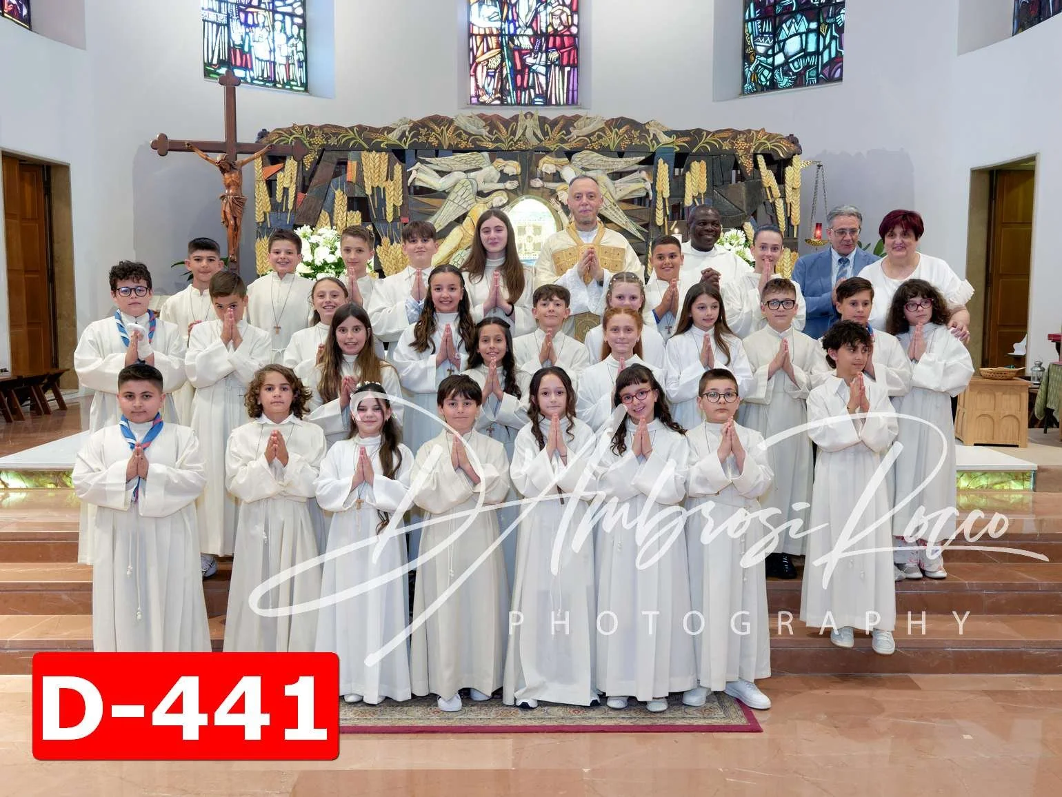 D-441.jpg