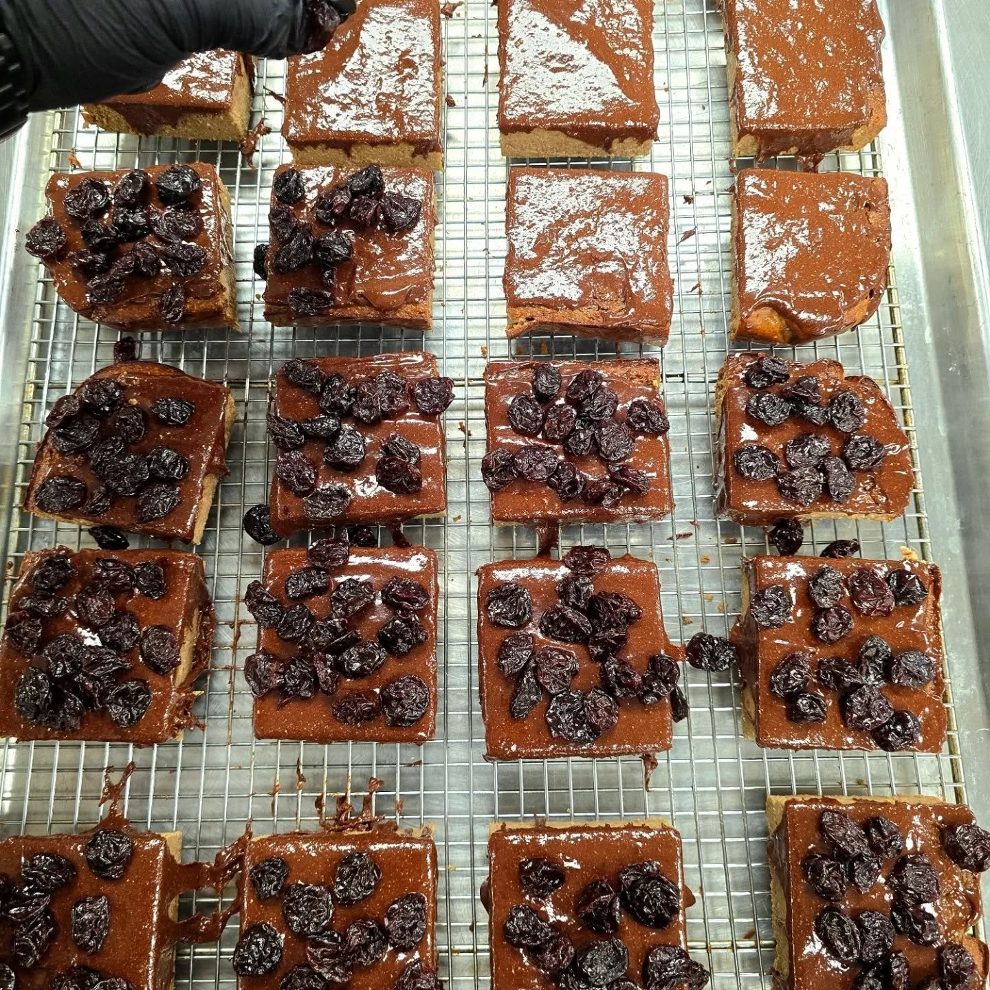 Just dressing my lil guys up so they look nice and pretty! If you like how they look, why not give them a try? They're sure to put a smile on your face while satisfying your need for that extra bit of protein in your diet!

Visit us here to place an 