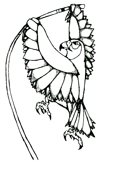 Spring PV clinic T-shirts