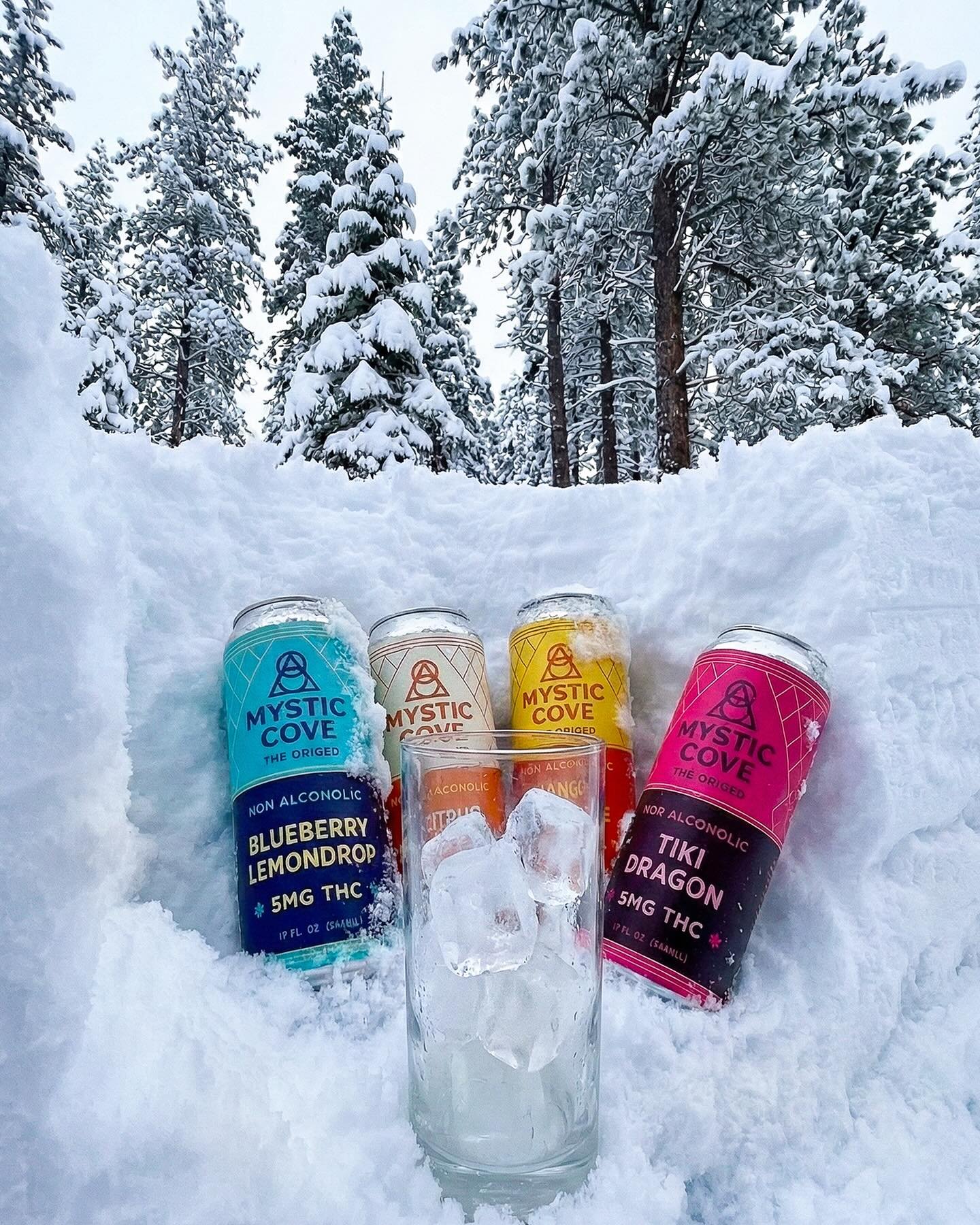 Cheers to all the snow slinging champions out there! We made it. Only two&hellip;ish months left&hellip;.❄️❄️❄️