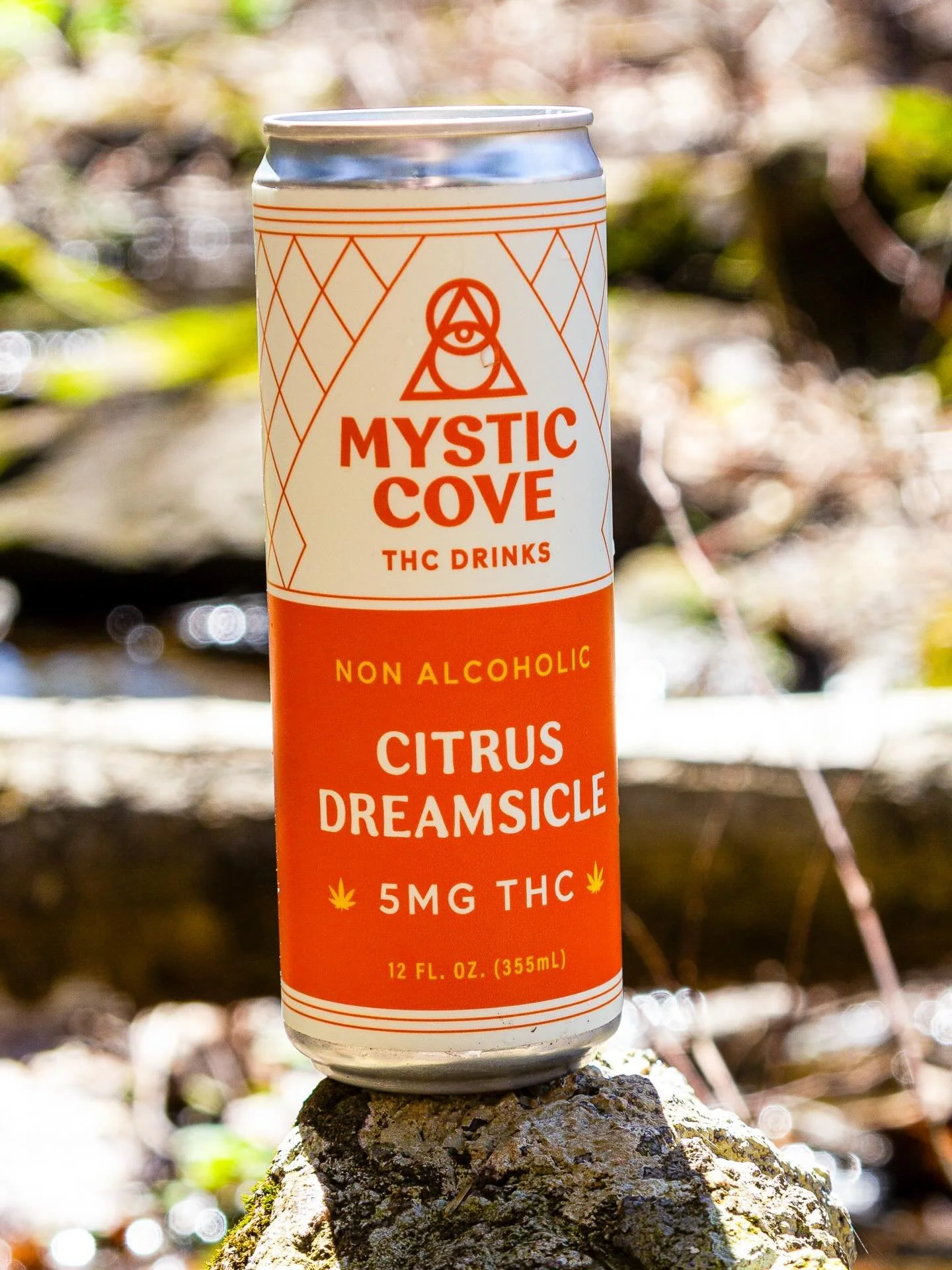 The sun felt good today! ☀️ Cheers to Spring, and less muddy Mystic Cove hikes soon to come. Happy Friday all.