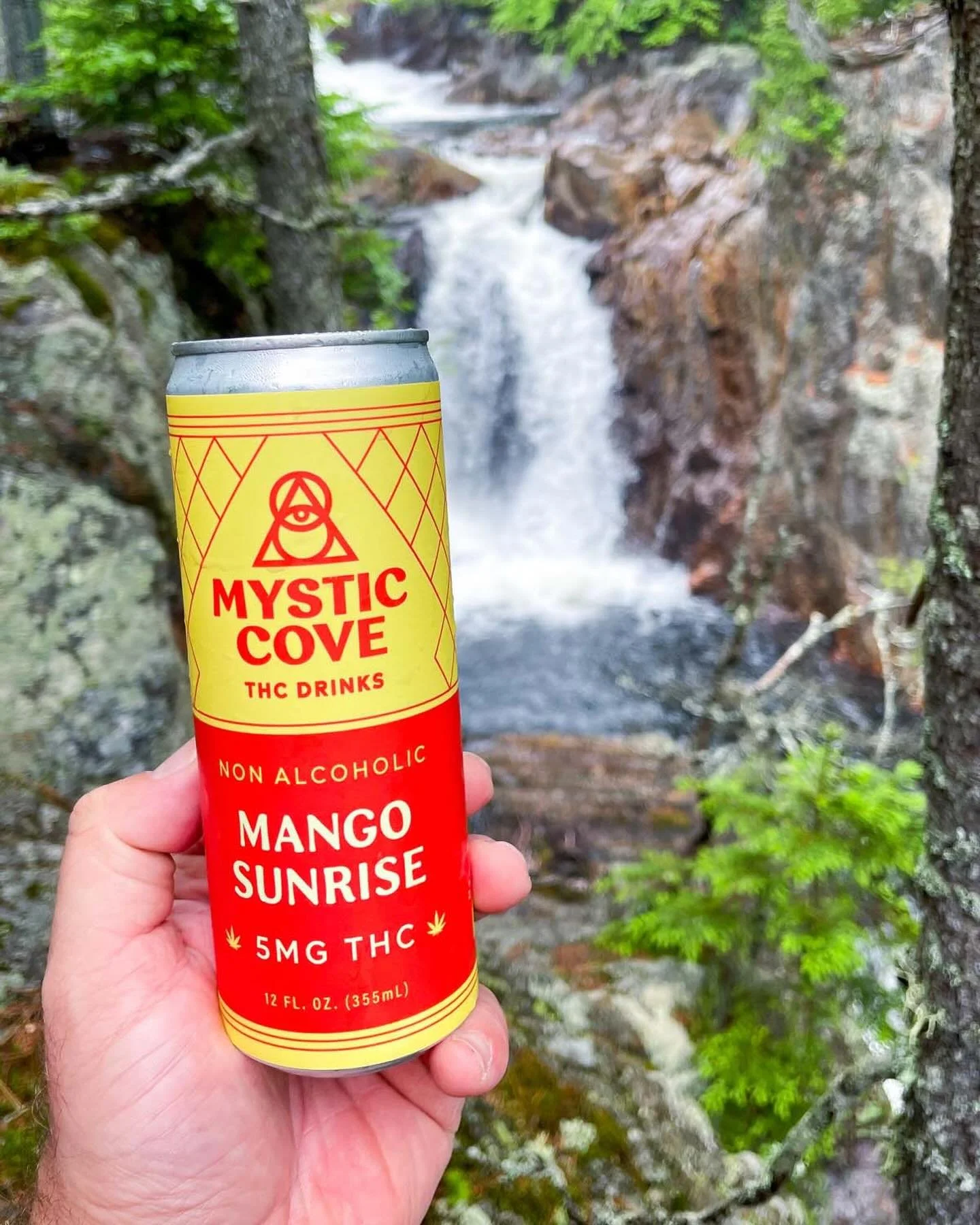 ✨Mystic Cove THC drinks✨are fast acting. Have one at the start of a hike and enjoy a mellow buzz on your journey. For more experienced (THC consumers, not hikers) try the 10mg drinks. Get outside!