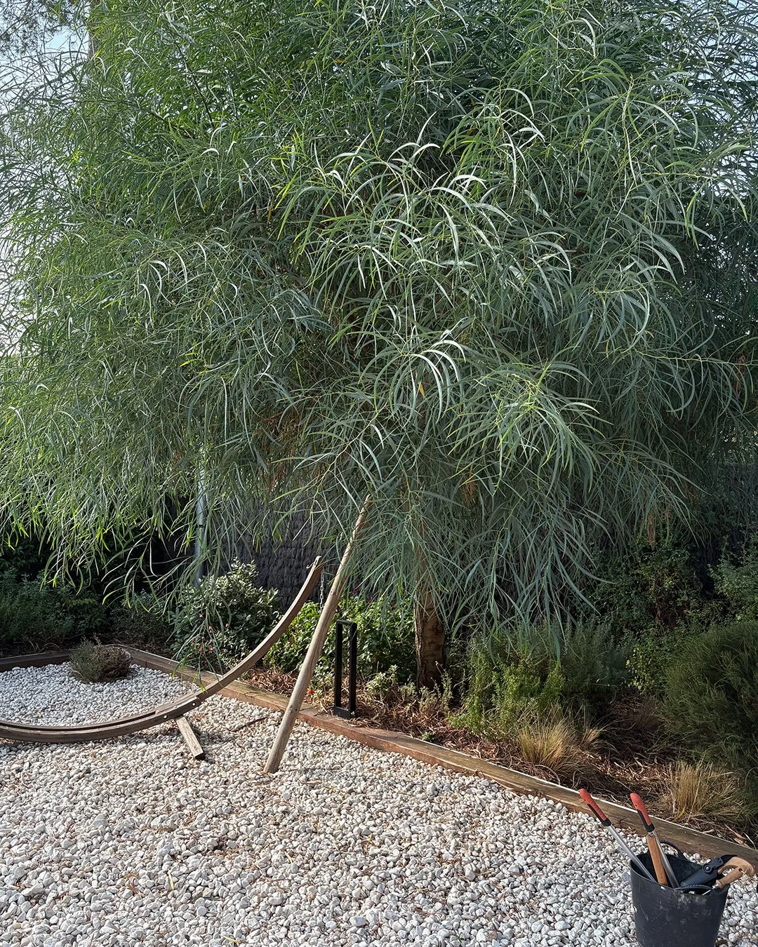 Jardin ordenado, con suelo de grava y parterre con arbustivas