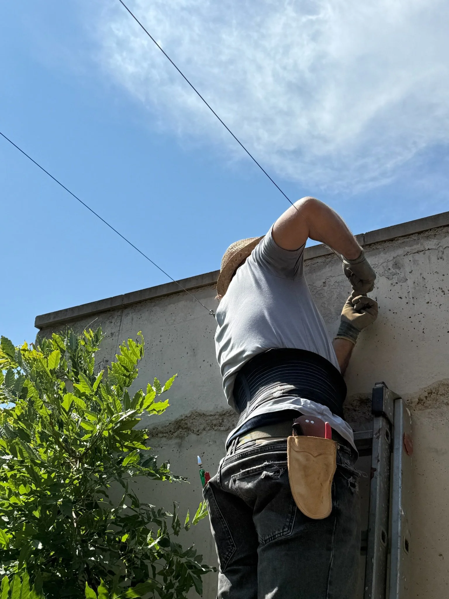 Un jardinero colocando tensores para una pérgola, en una escalera, usando guantes y con herramientas en un cinturón, con cielo despejado y un árbol cercano.