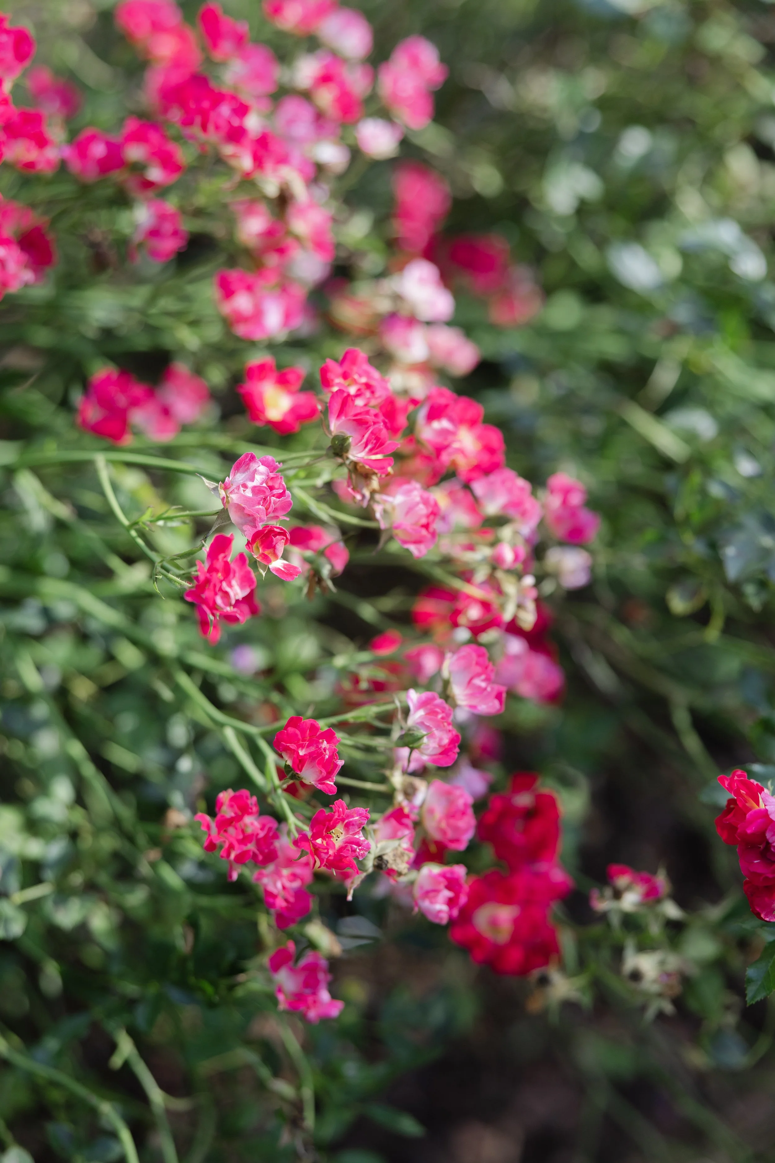 manningwedding-details-71.jpg