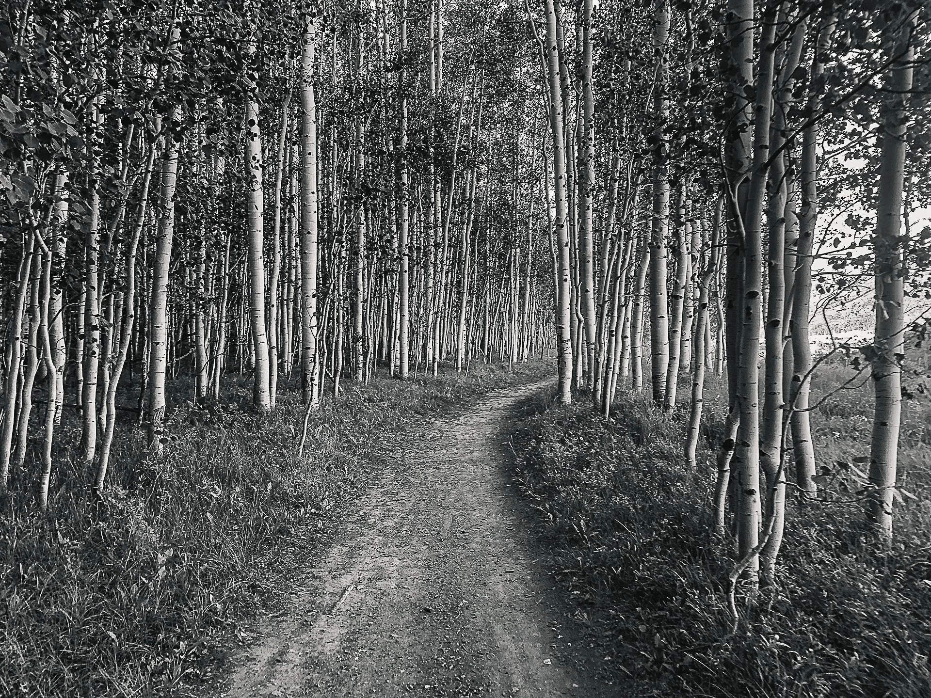 IMG_2354-Edit copy.jpg