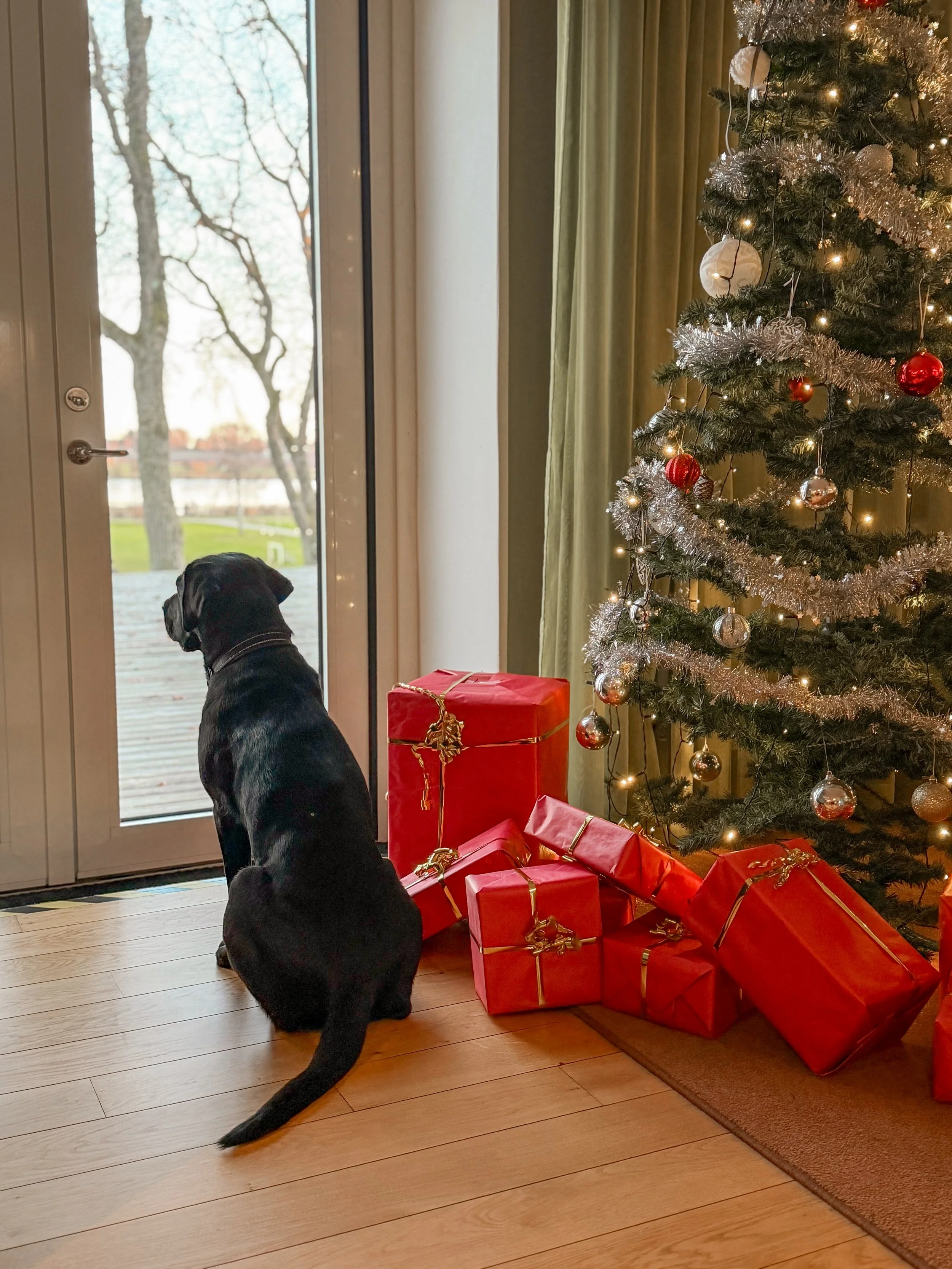 Julbord i skulpturparken