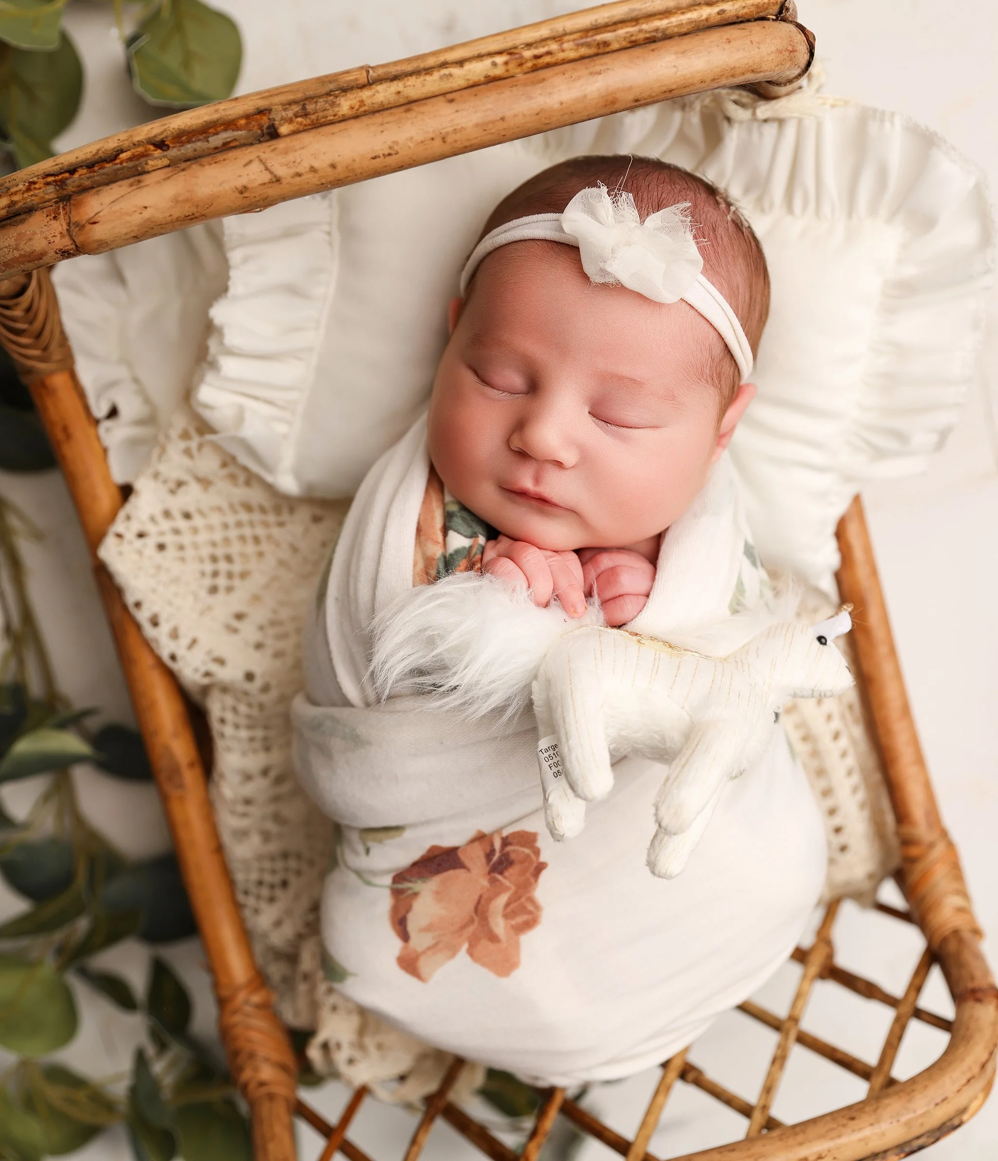  newborn photographer near me photographers near me newborn photography Rochester NY Rochester NY newborn photographer Finger Lakes newborn photography Fingerlakes photography newborn photography near Rochester NY baby photographer Rochester NY best 