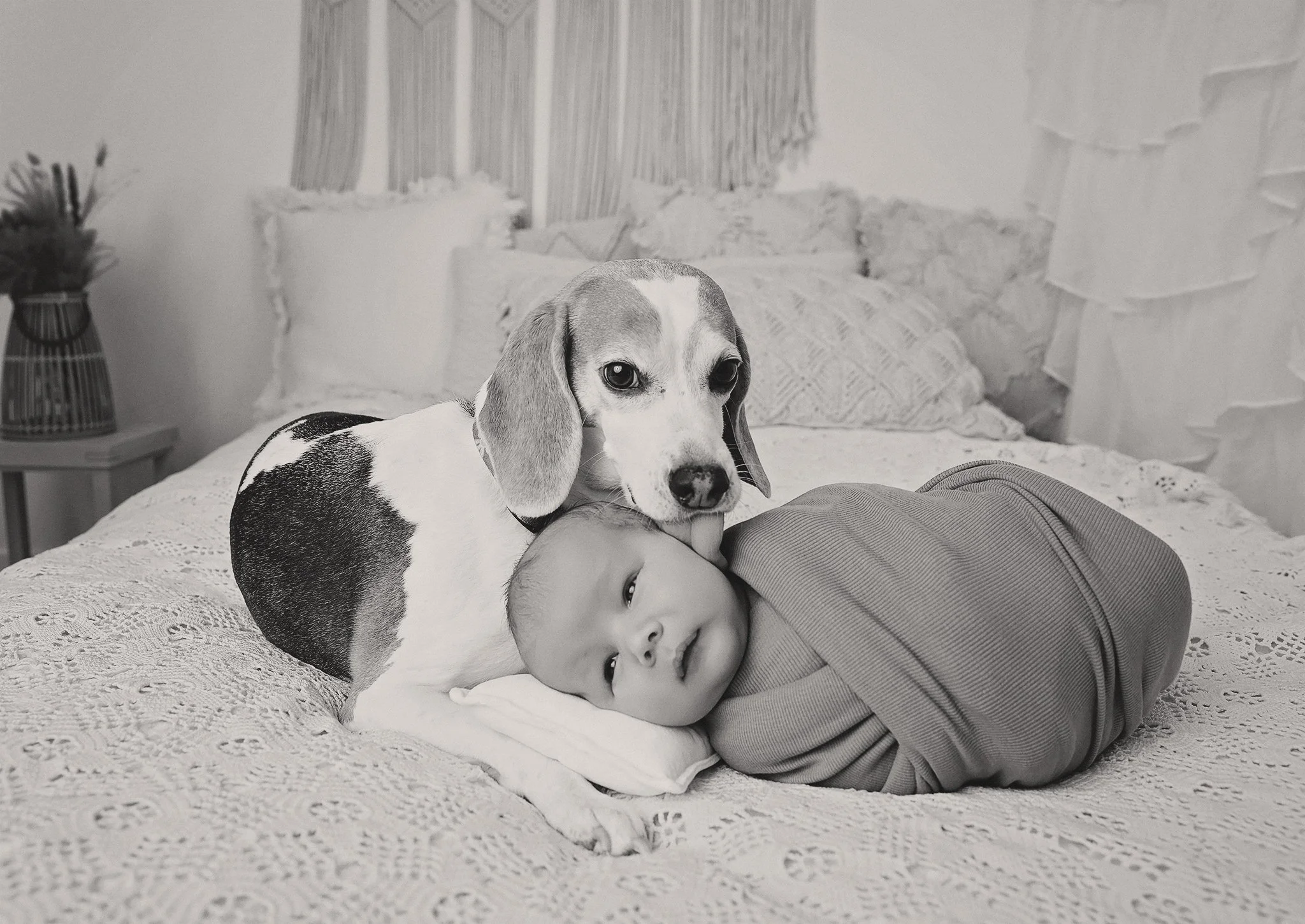 Newborn baby milestone family photography near me first birthday cake smash photo session 6 month milestone grow with me first birthday package babys first year photoshoots webster rochester hilton greece fairport pittsford family photographers 