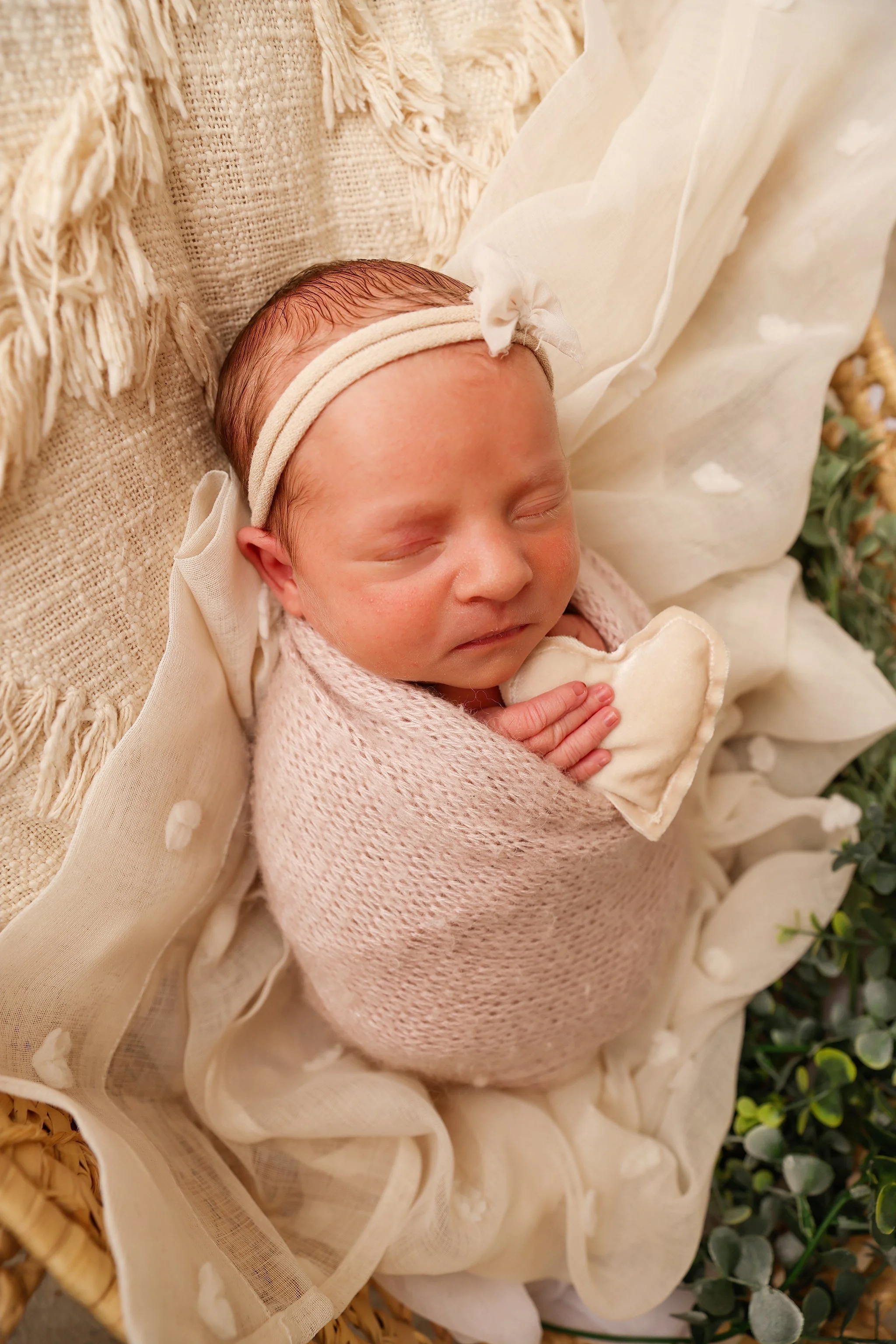 Rochester webster finger lakes region newborn baby infant family photographer near me buffalo syracuse photographers 