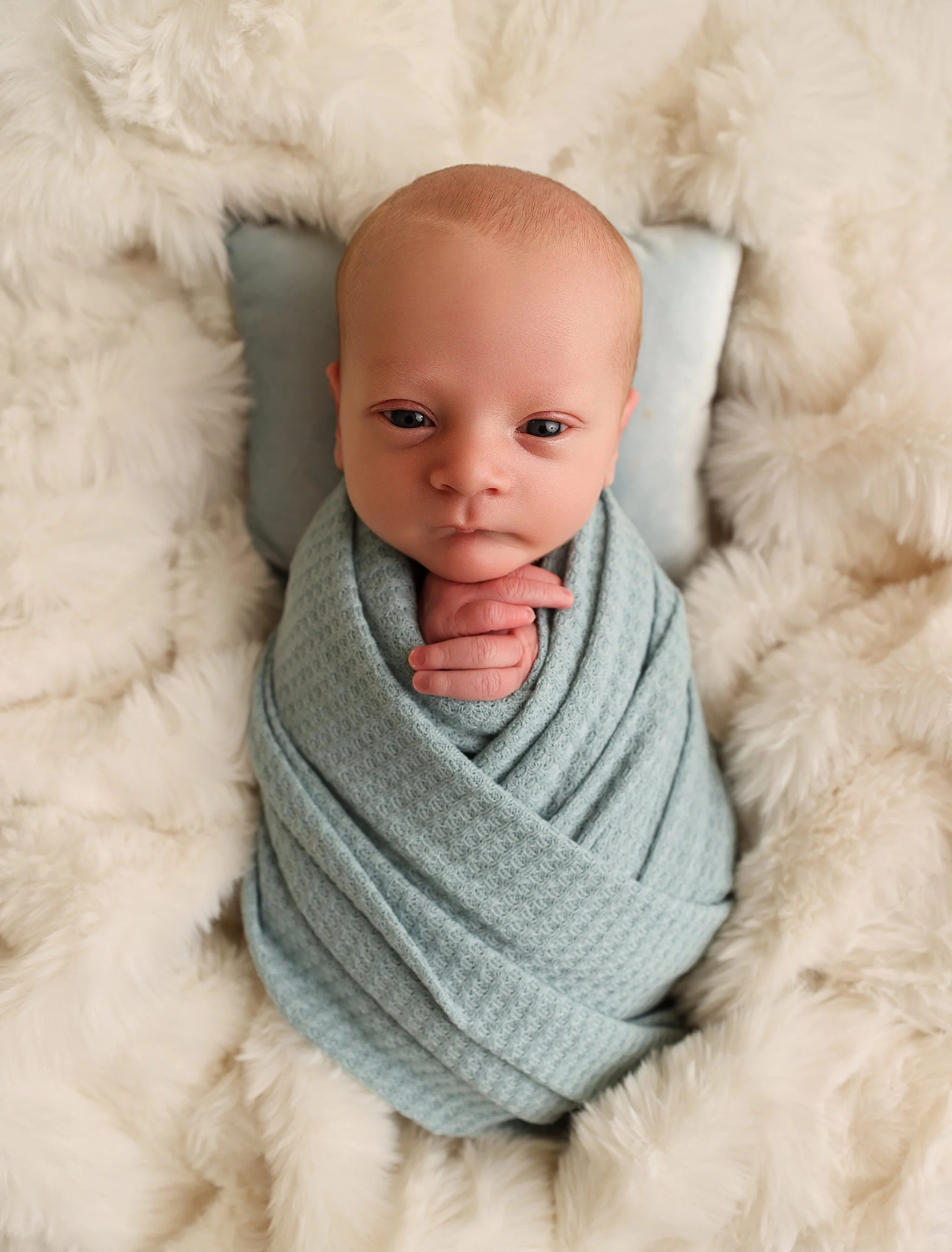 Newborn baby milestone family photography near me first birthday cake smash photo session 6 month milestone grow with me first birthday package babys first year photoshoots webster rochester hilton greece fairport pittsford family photographers 