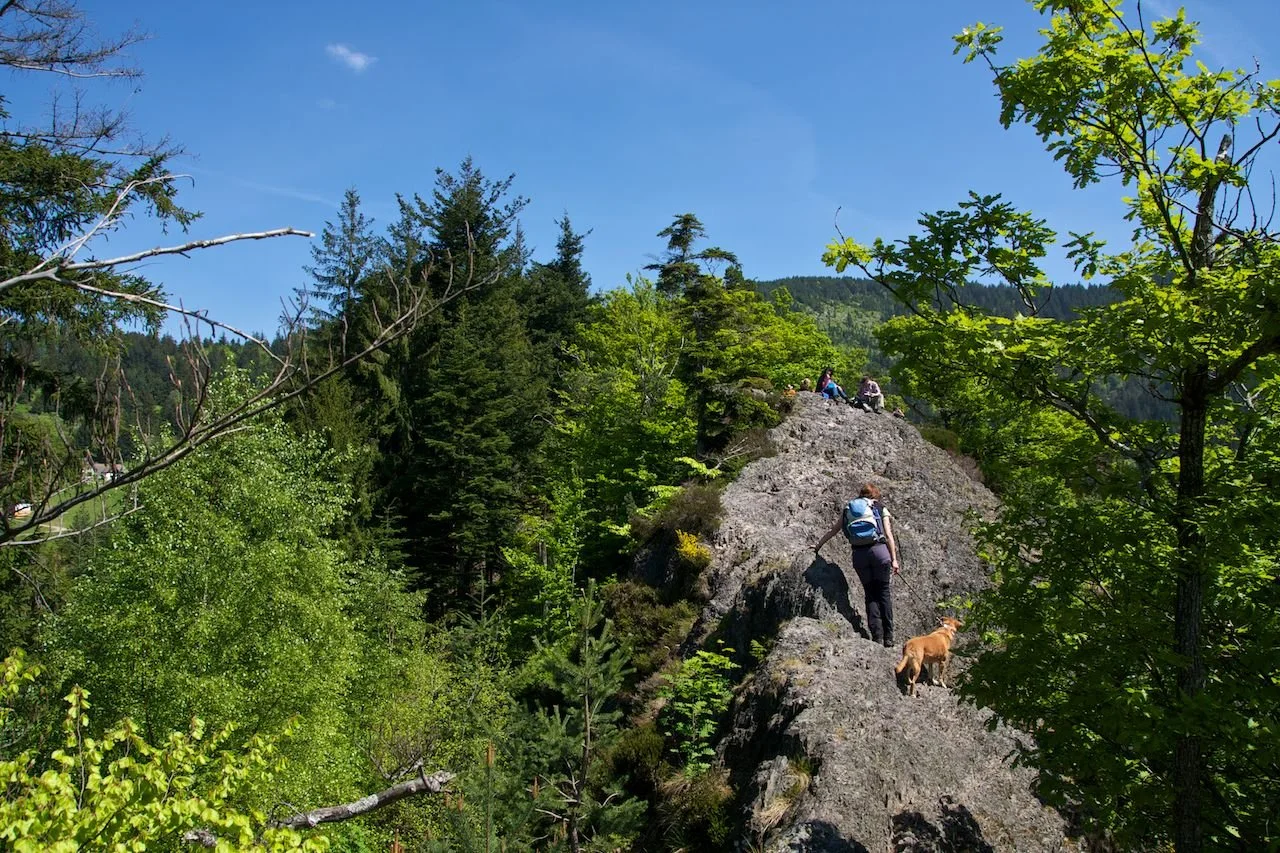 Via Ferrata Karlsruher Grat