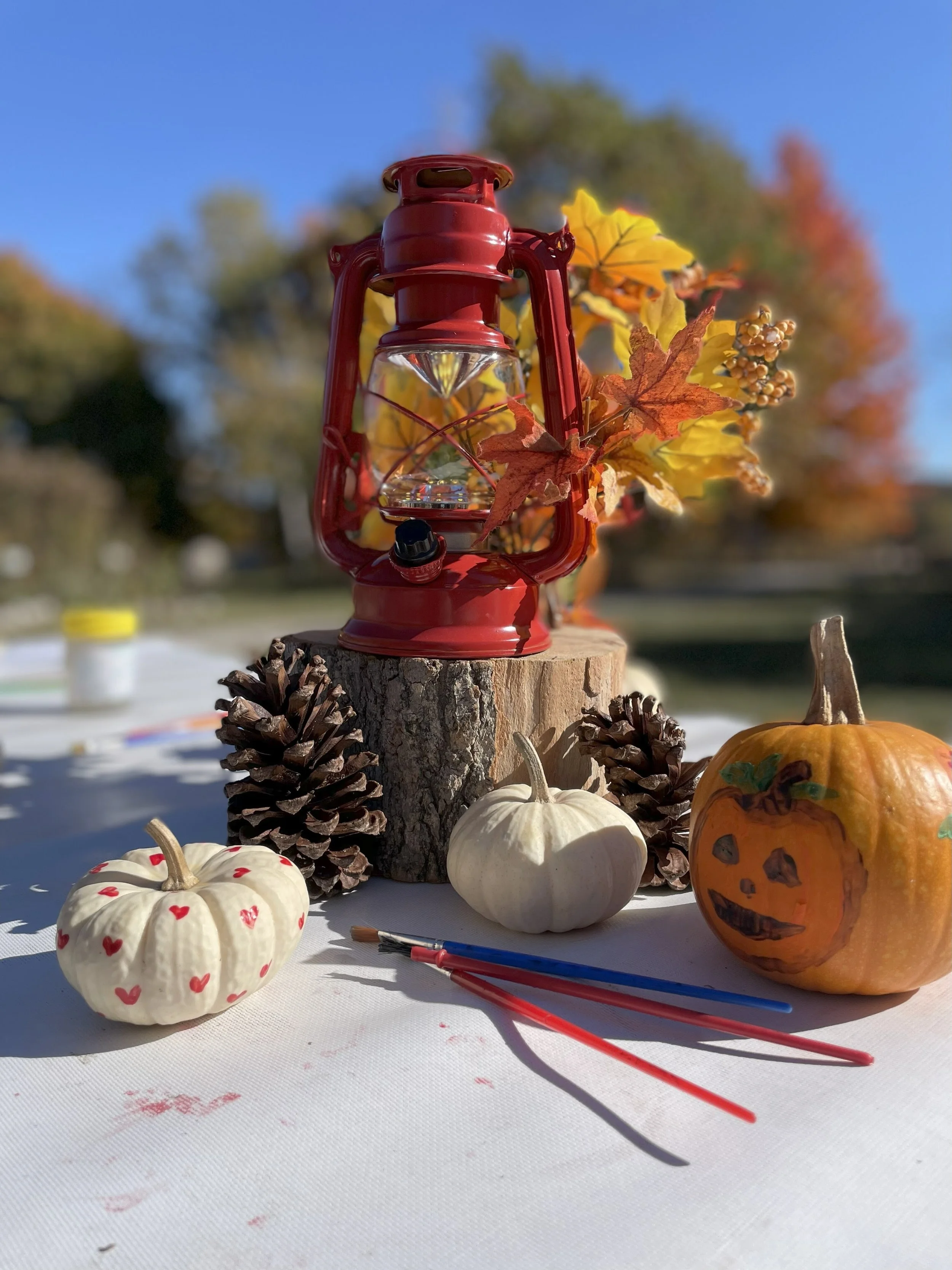 A Day of Nature, Fall Colors and Community