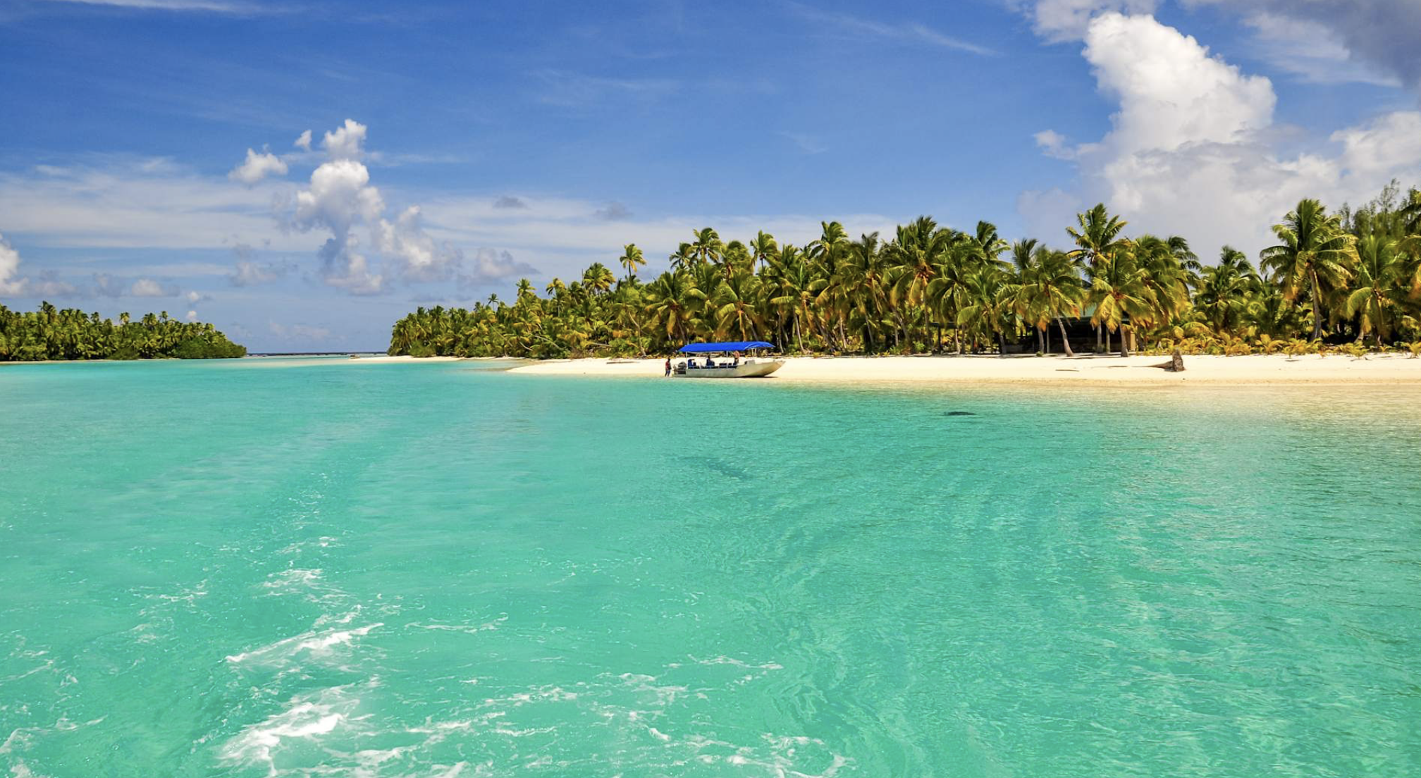 Masterpieces at Sea: Mãori Storytellers &amp; French Polynesian Treasures