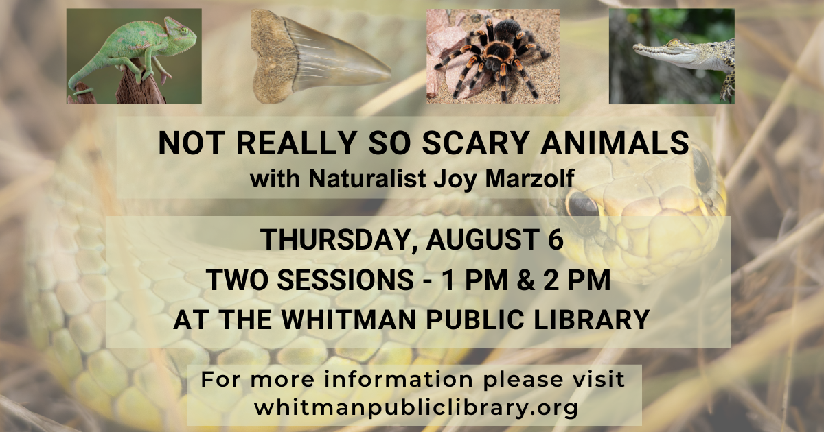 Not Really So Scary Animals with Joy Marzolf on Thursday, August 6 at 1 PM or 2 PM