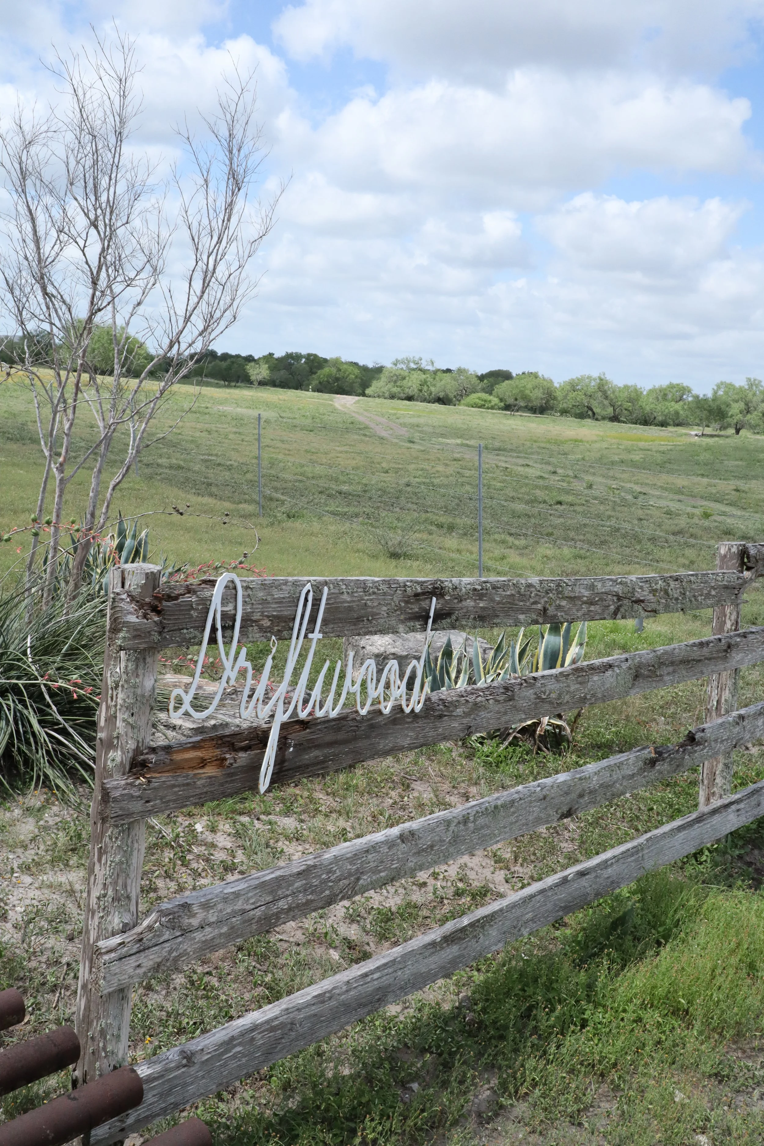 IMG_7918.JPG