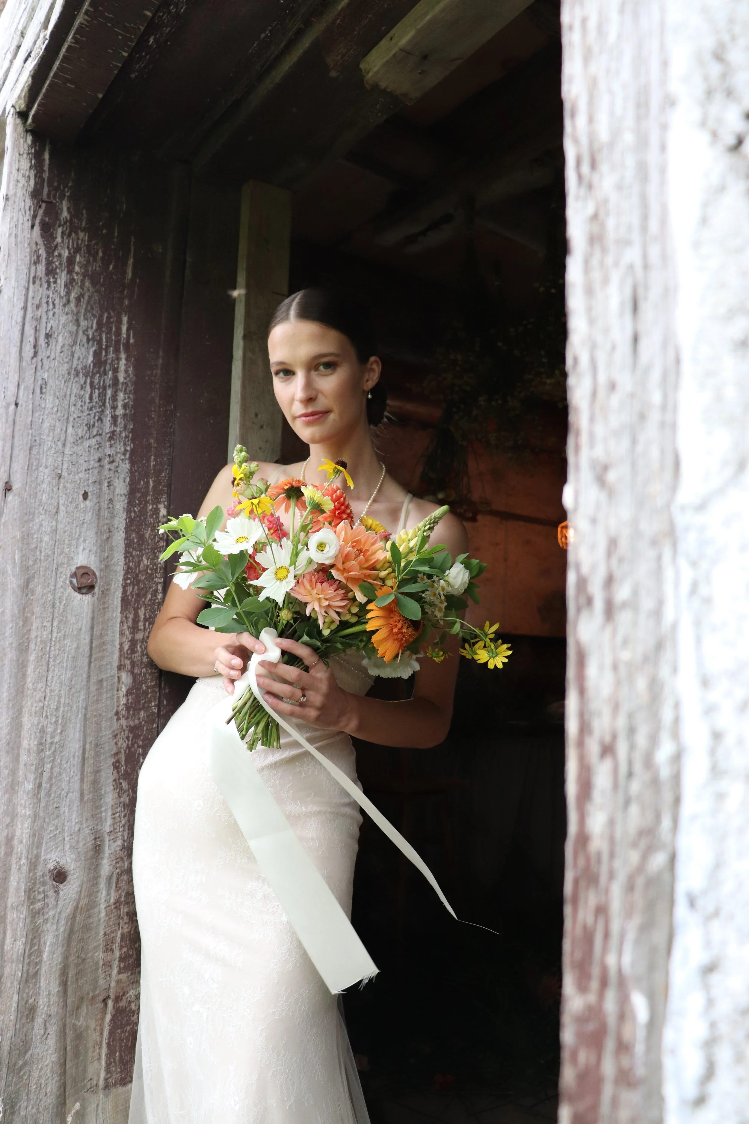 0035 AugustTree00255.JPG