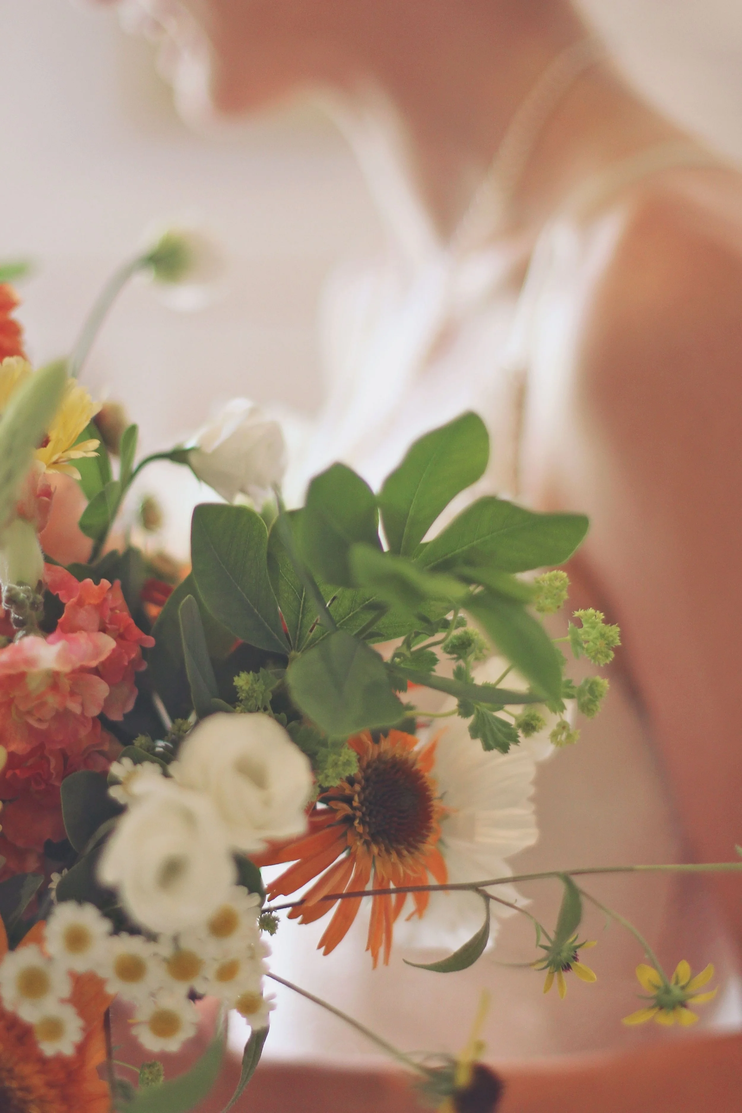 0016 AugustTree00076(2).jpg