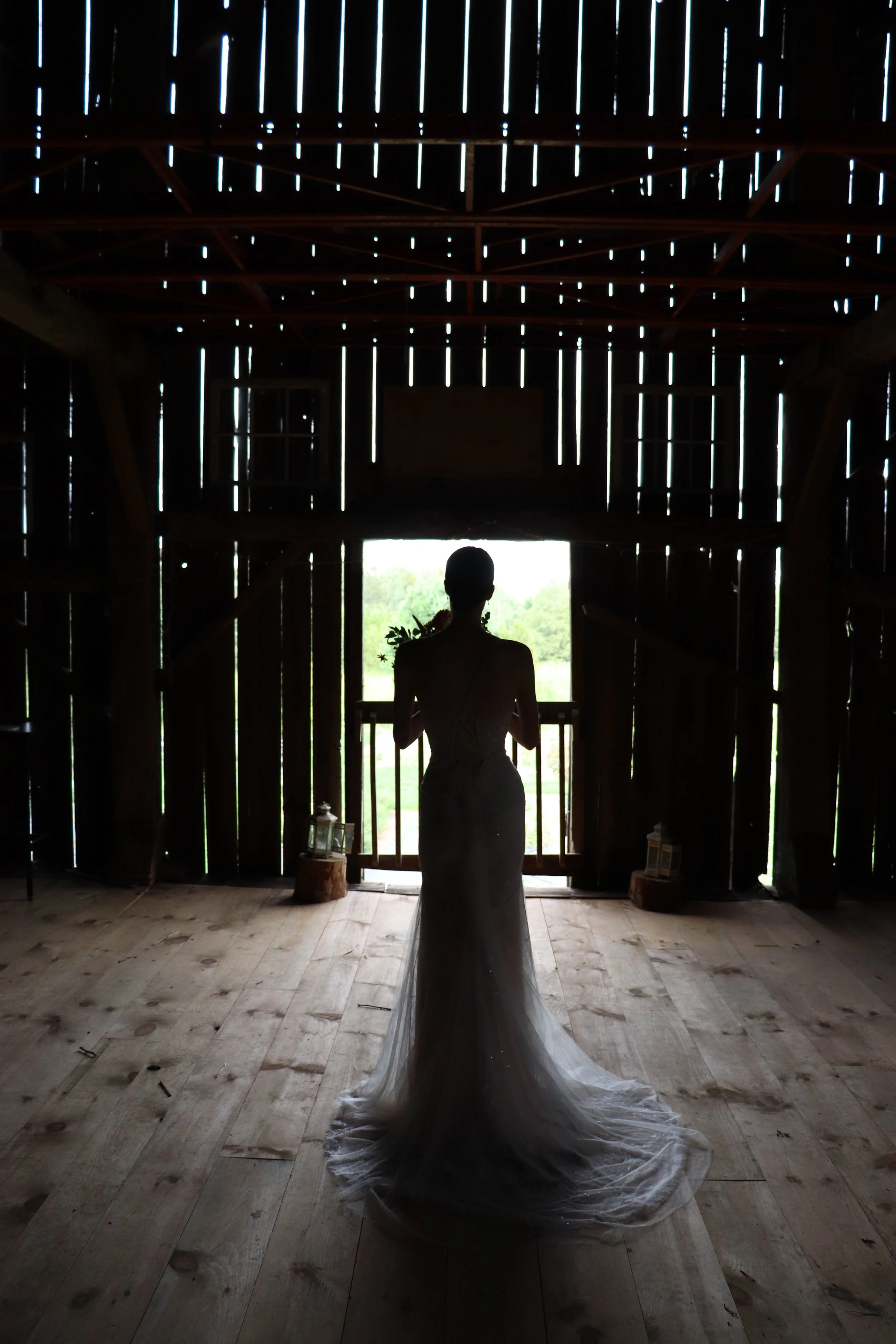 0070 AugustTree00310.JPG