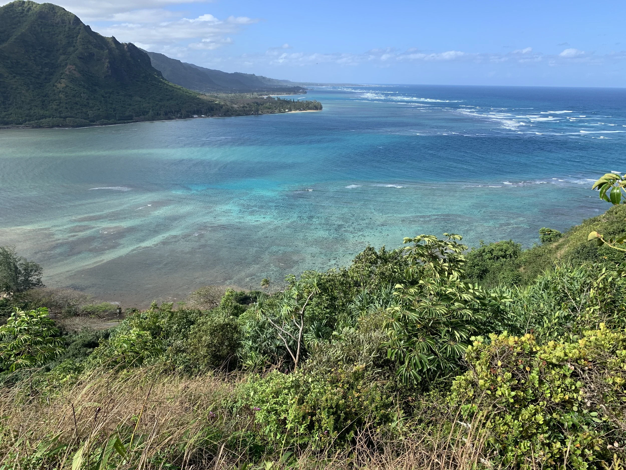 Scenic view of tropical coastline with lush greenery and blue ocean waves near steep hills under a clear sky. Hawaii film, video, photo production service