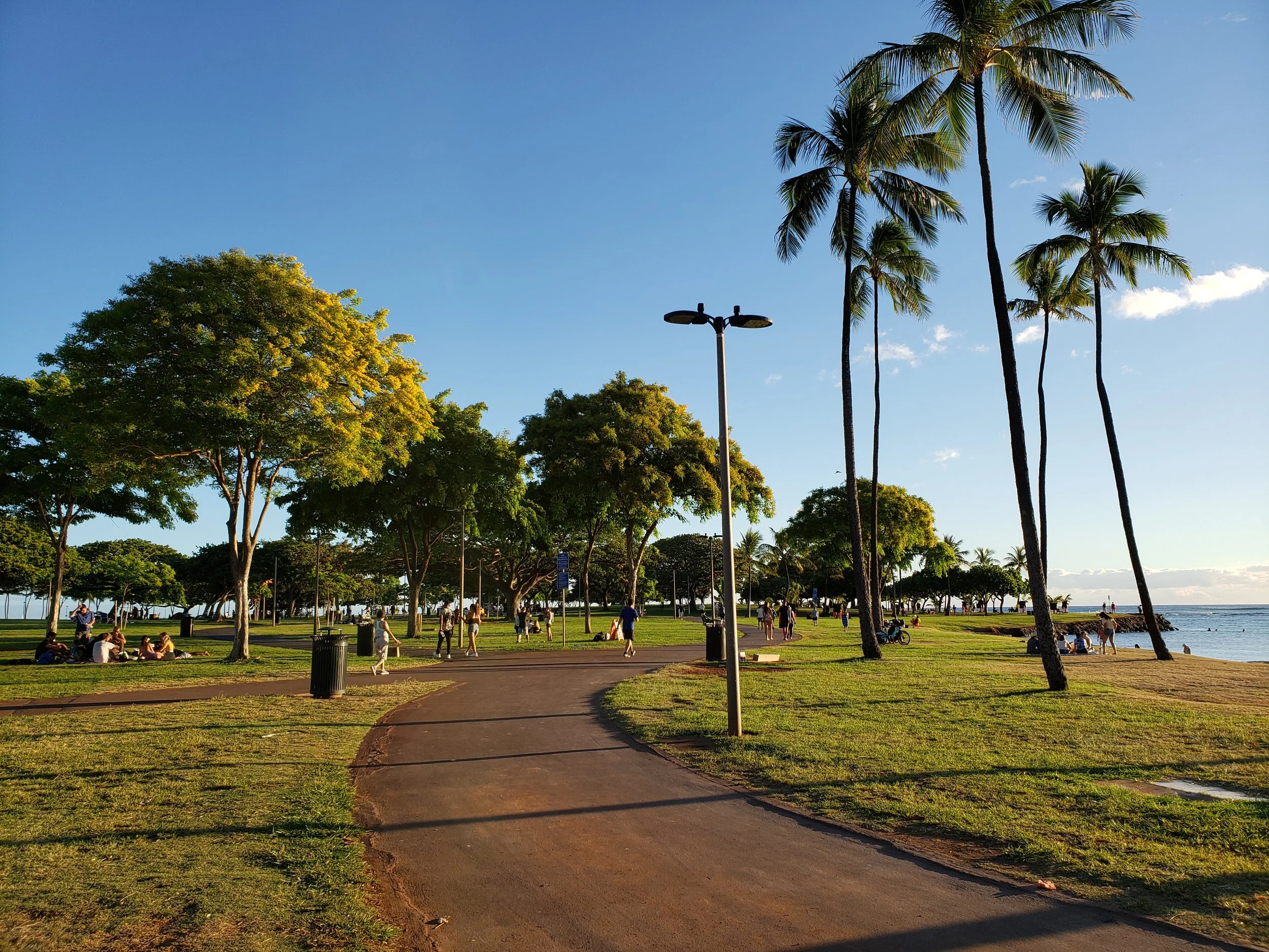 Scenic park with palm trees, pathway, and people enjoying the outdoors near a beach during sunny weather. Hawaii film, video, photo production service