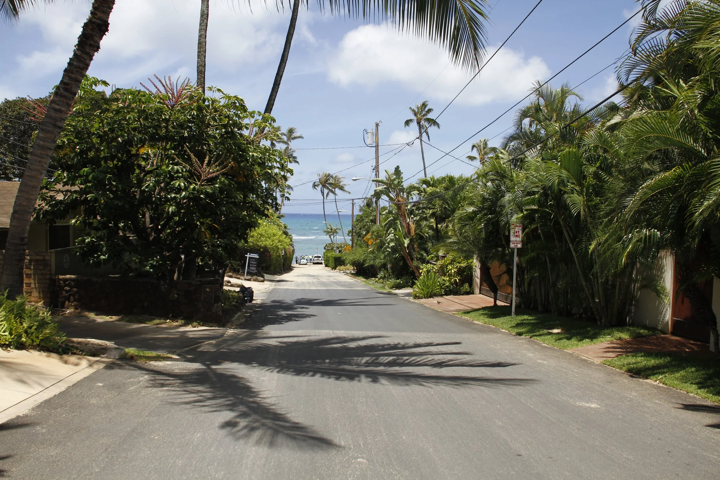 Tropical coastal road lined with palm trees leading towards the ocean in a sunny, residential area. Hawaii film, video, photo production service
