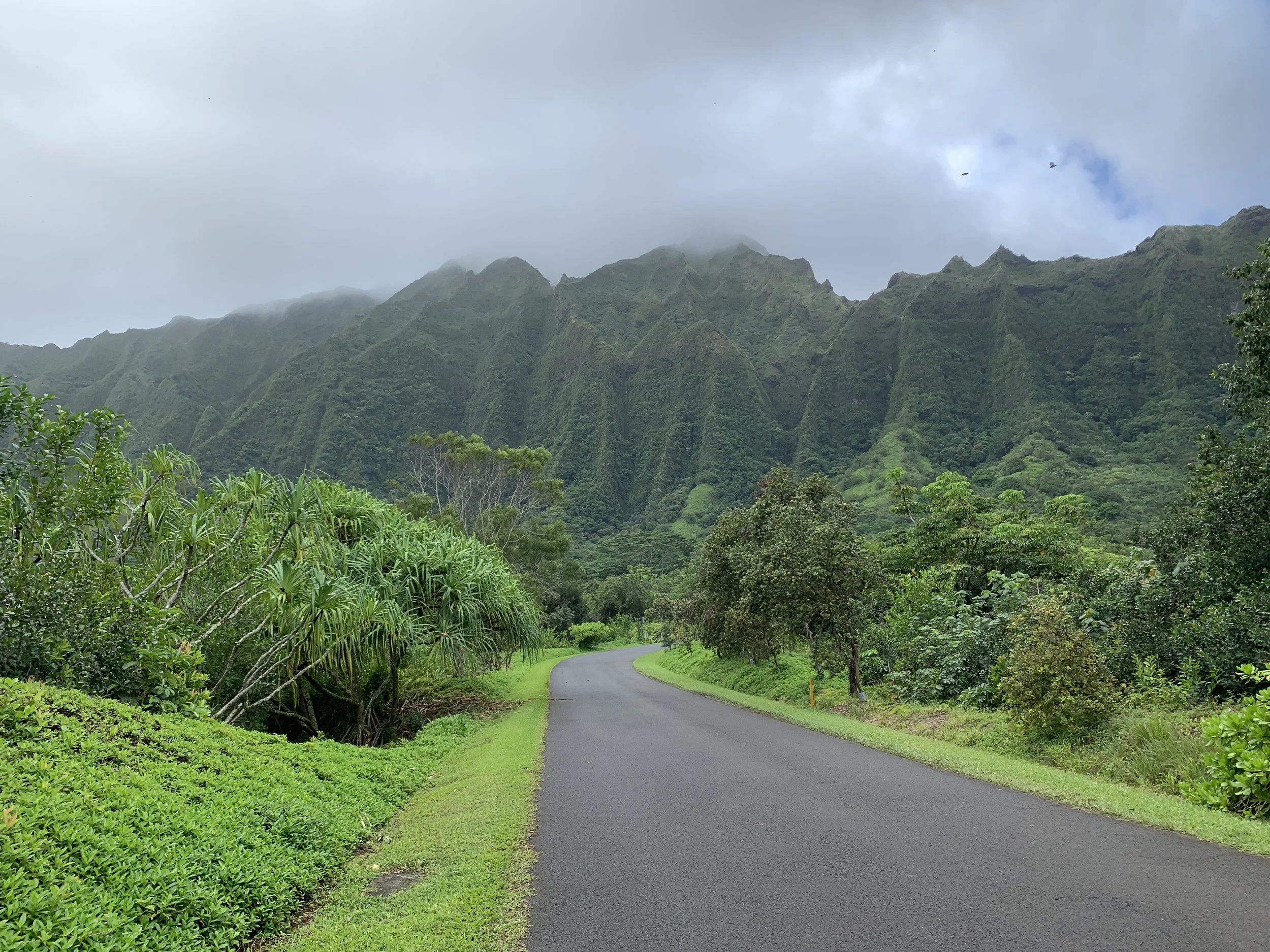 Scenic view of a winding road surrounded by lush green vegetation and towering mountains under a cloudy sky. Hawaii film, video, photo production service