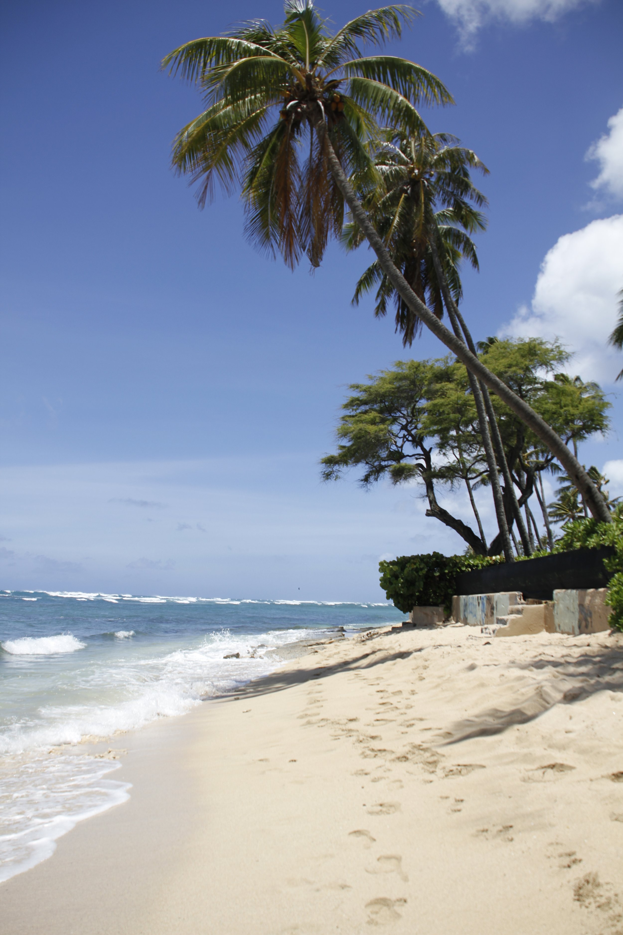 Tropical beach with palm trees and ocean waves. Hawaii film, video, photo production service