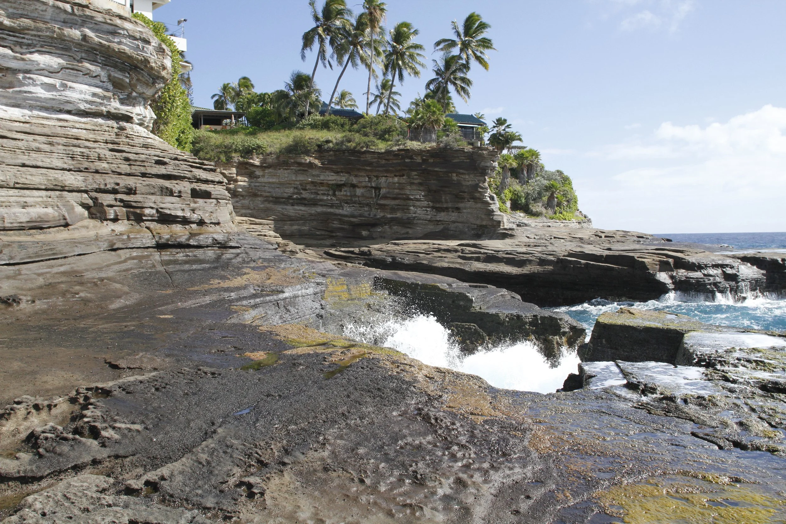 Rocky coastal cliff with palm trees and ocean waves. Hawaii film, video, photo production service