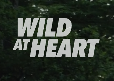 Screen Shot 2026-01-12 at 1.49.03 PM.png