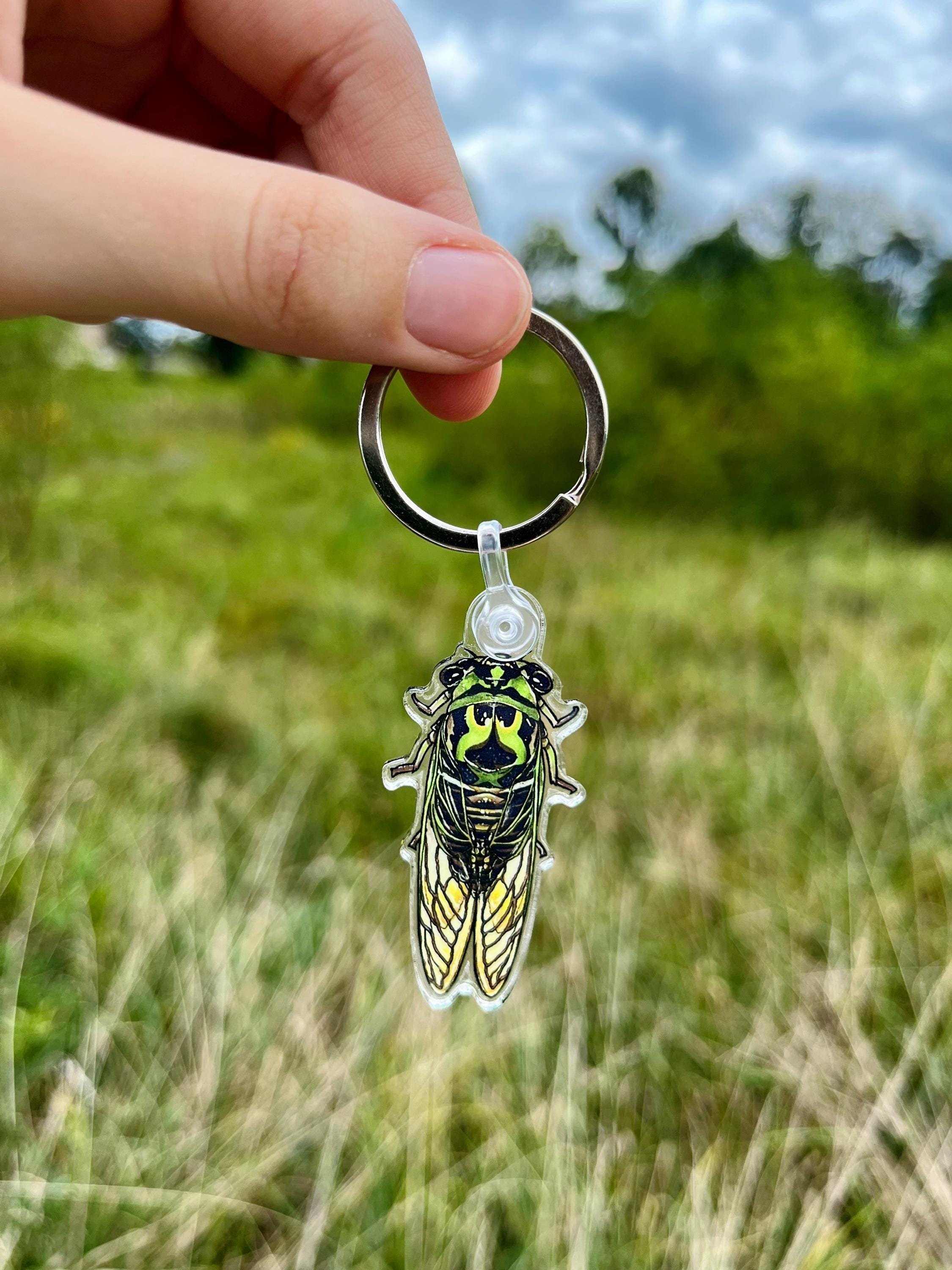 https://i.etsystatic.com/47259882/r/il/dde024/6435624239/il_fullxfull.6435624239_sqhe.jpg