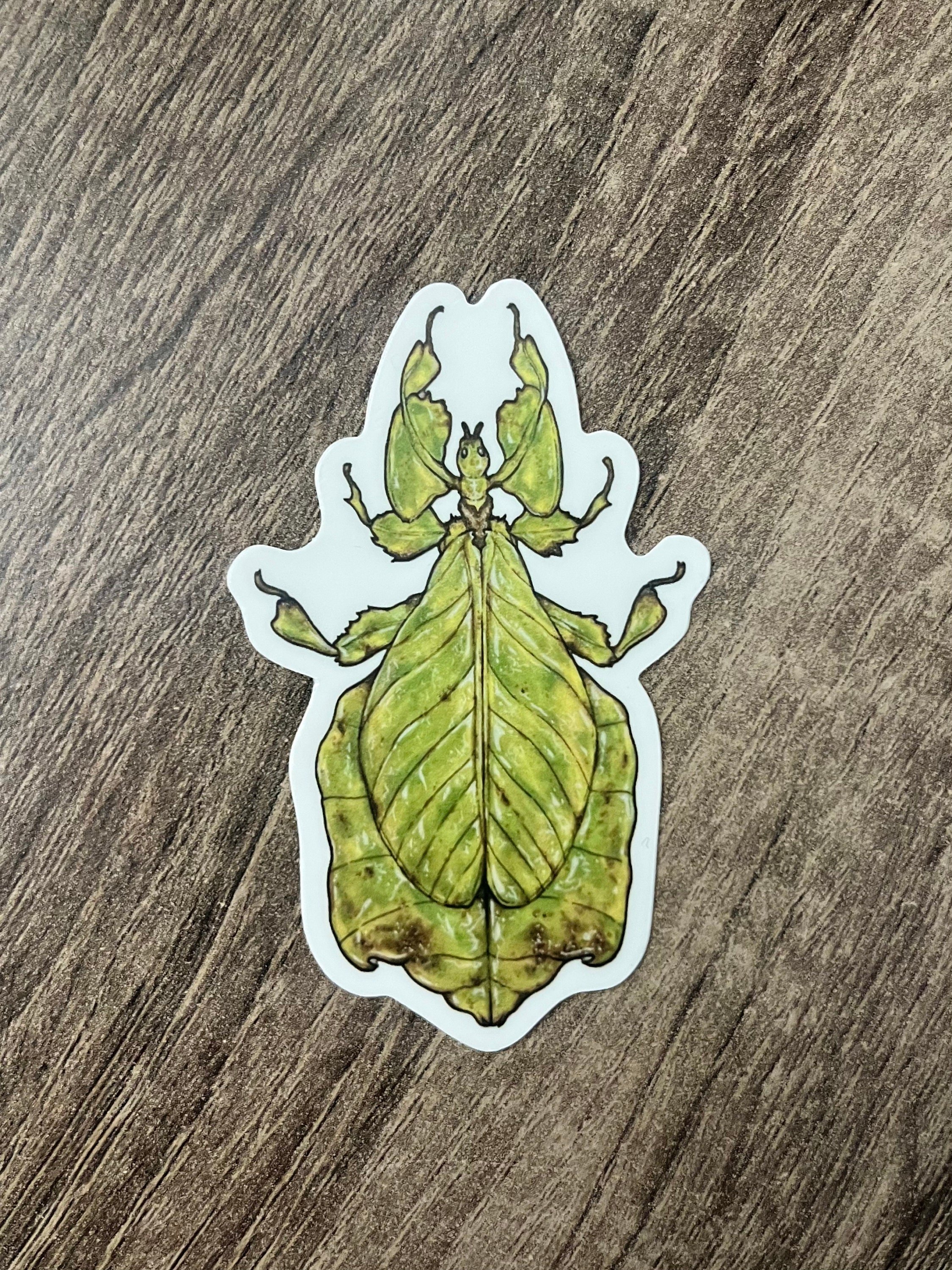https://i.etsystatic.com/47259882/r/il/65d2ff/5561970327/il_fullxfull.5561970327_nuze.jpg