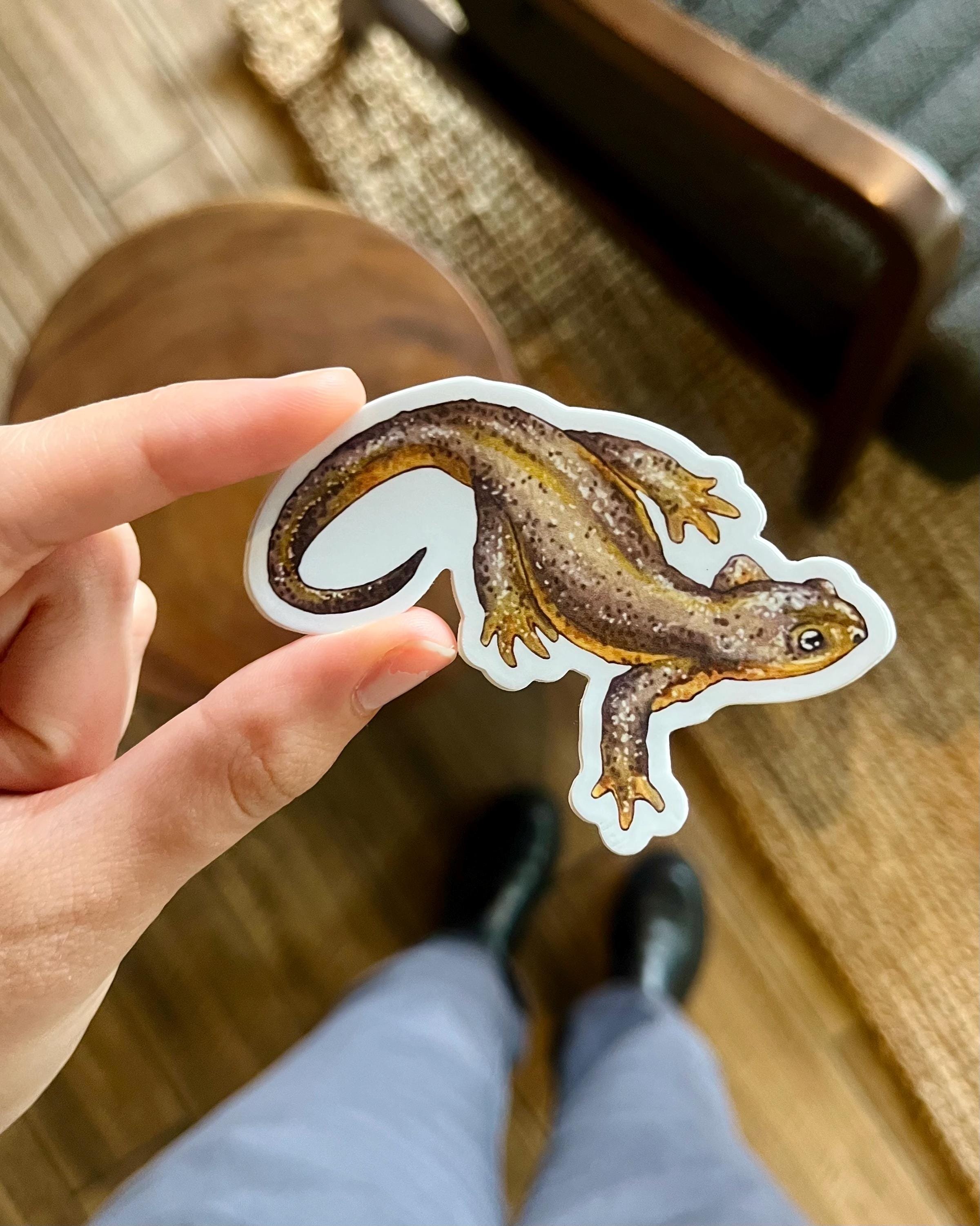 https://i.etsystatic.com/47259882/r/il/1ff08e/6161830232/il_fullxfull.6161830232_exof.jpg