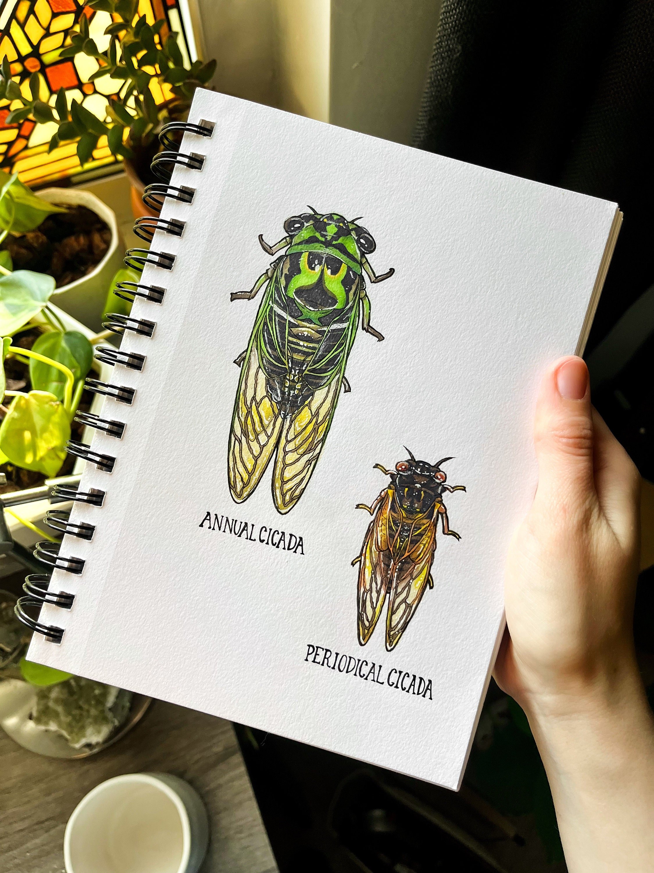 https://i.etsystatic.com/47259882/r/il/913ebc/5921008570/il_fullxfull.5921008570_l69s.jpg