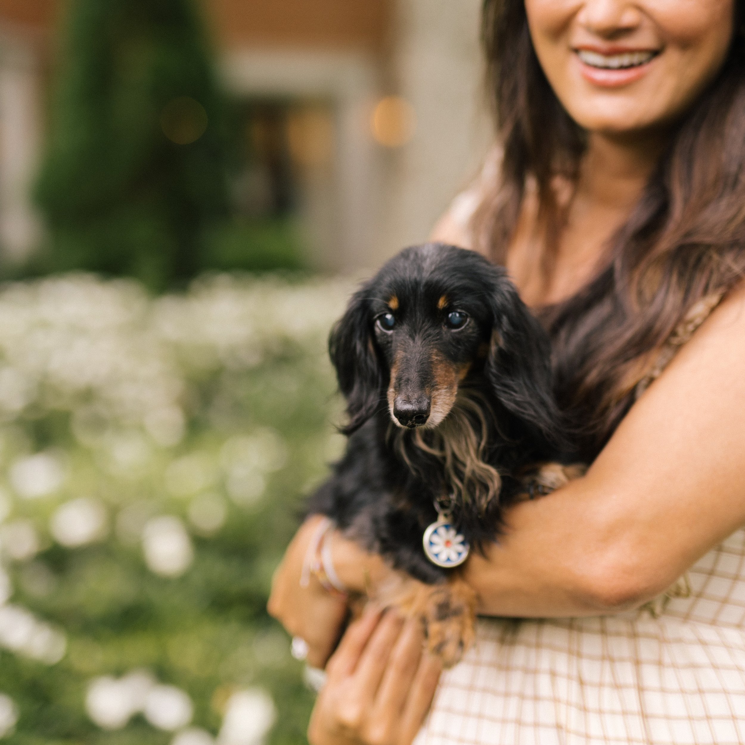 Noodles came to me from a rescue in Texas a few weeks before Jude was born. The day before I went into labor, I carried her in a Longchamp bag to a dog fashion show.

My children never knew a day without her.

For sixteen years, she was there for thr